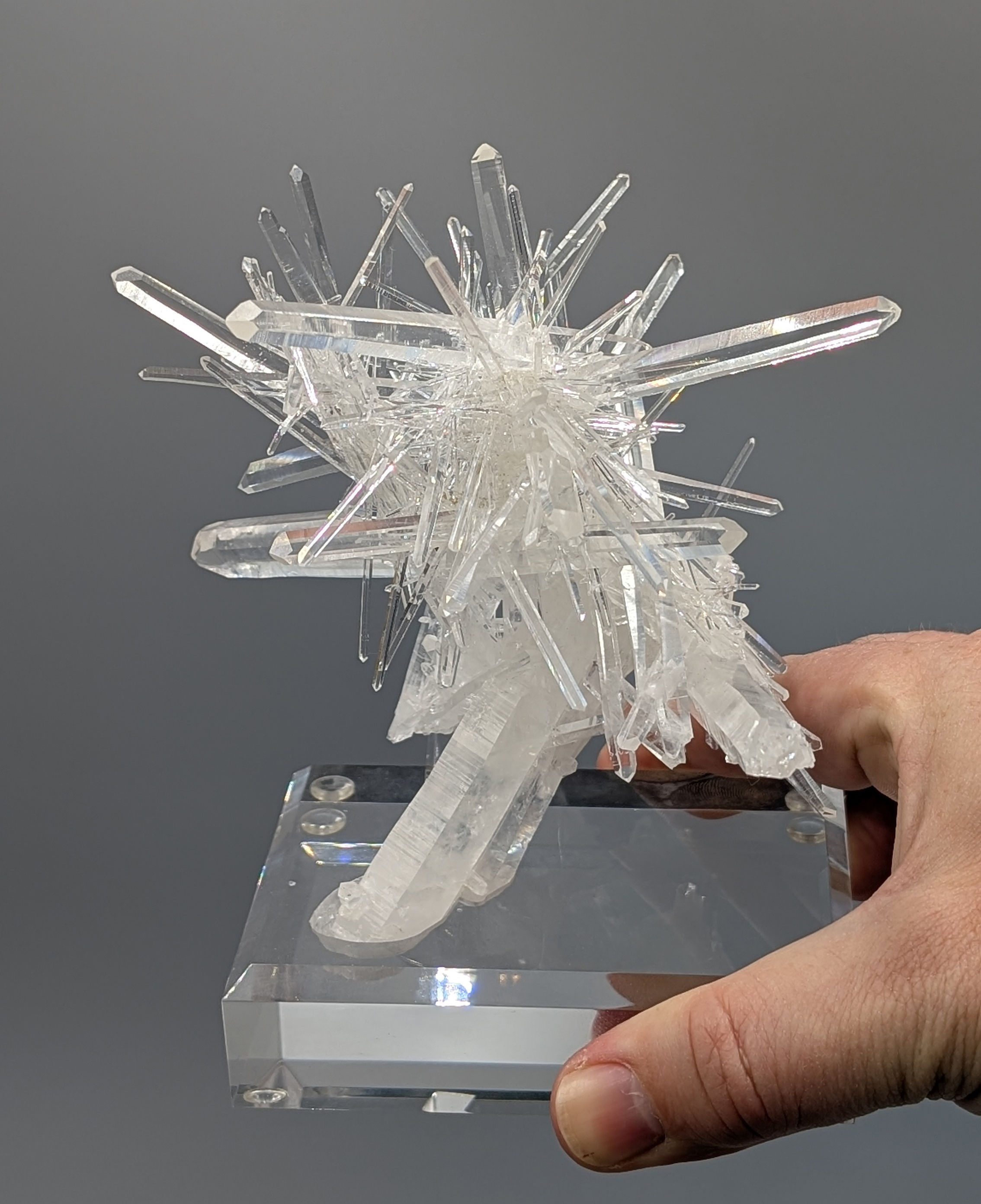 Quartz - Radiant Scepter of Sculptural Needle Cluster