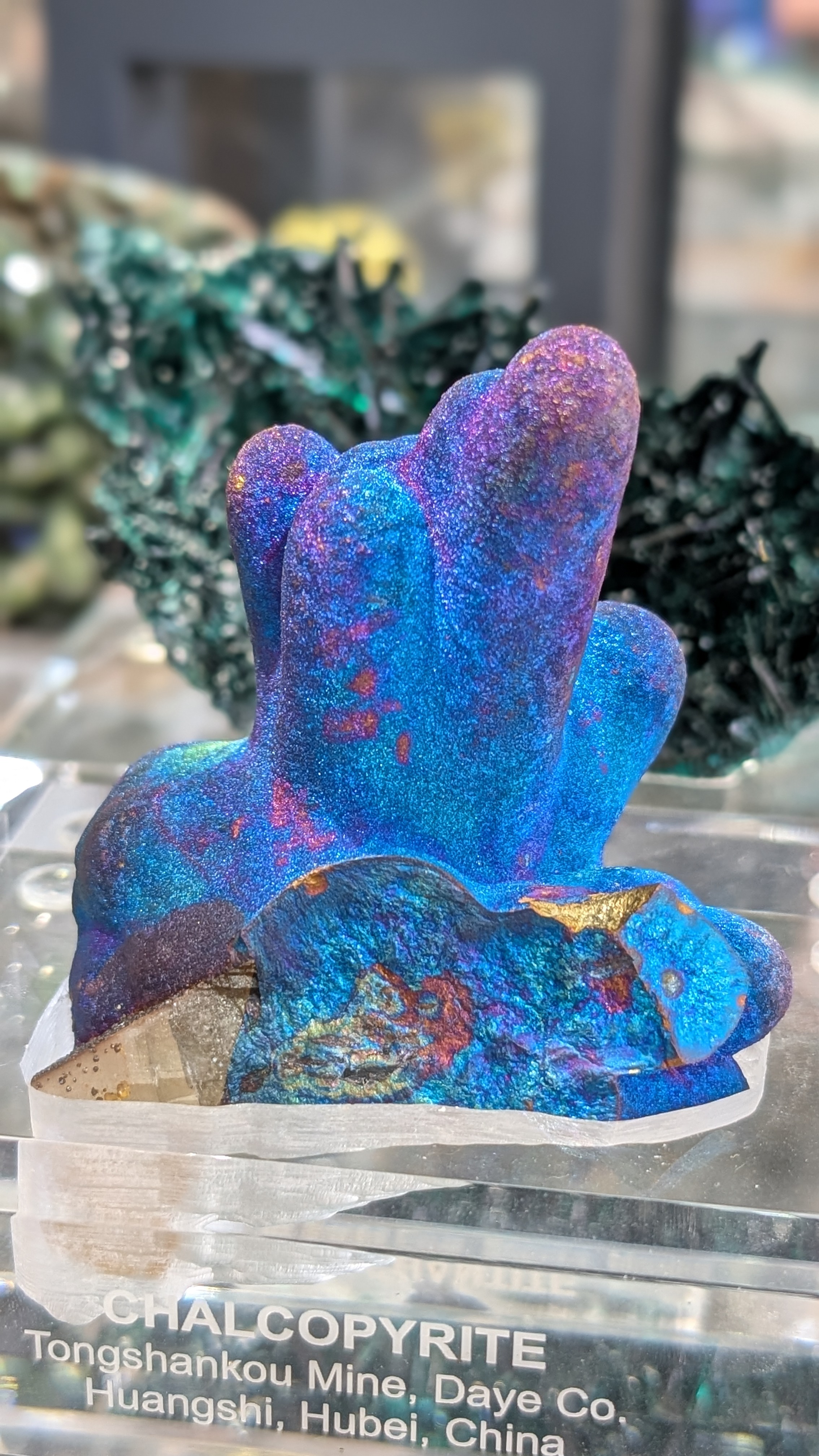 Chalcopyrite – Electric Peacock Iridescence, Sculptural Botryoidal Form