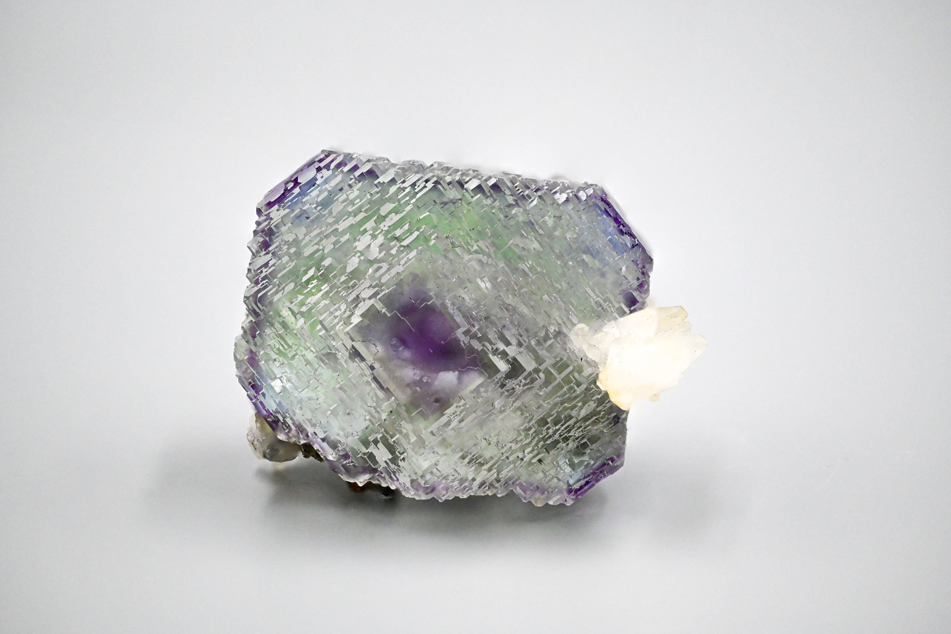 Fluorite – Complete Stepped Floater with Zoning from Shangbao