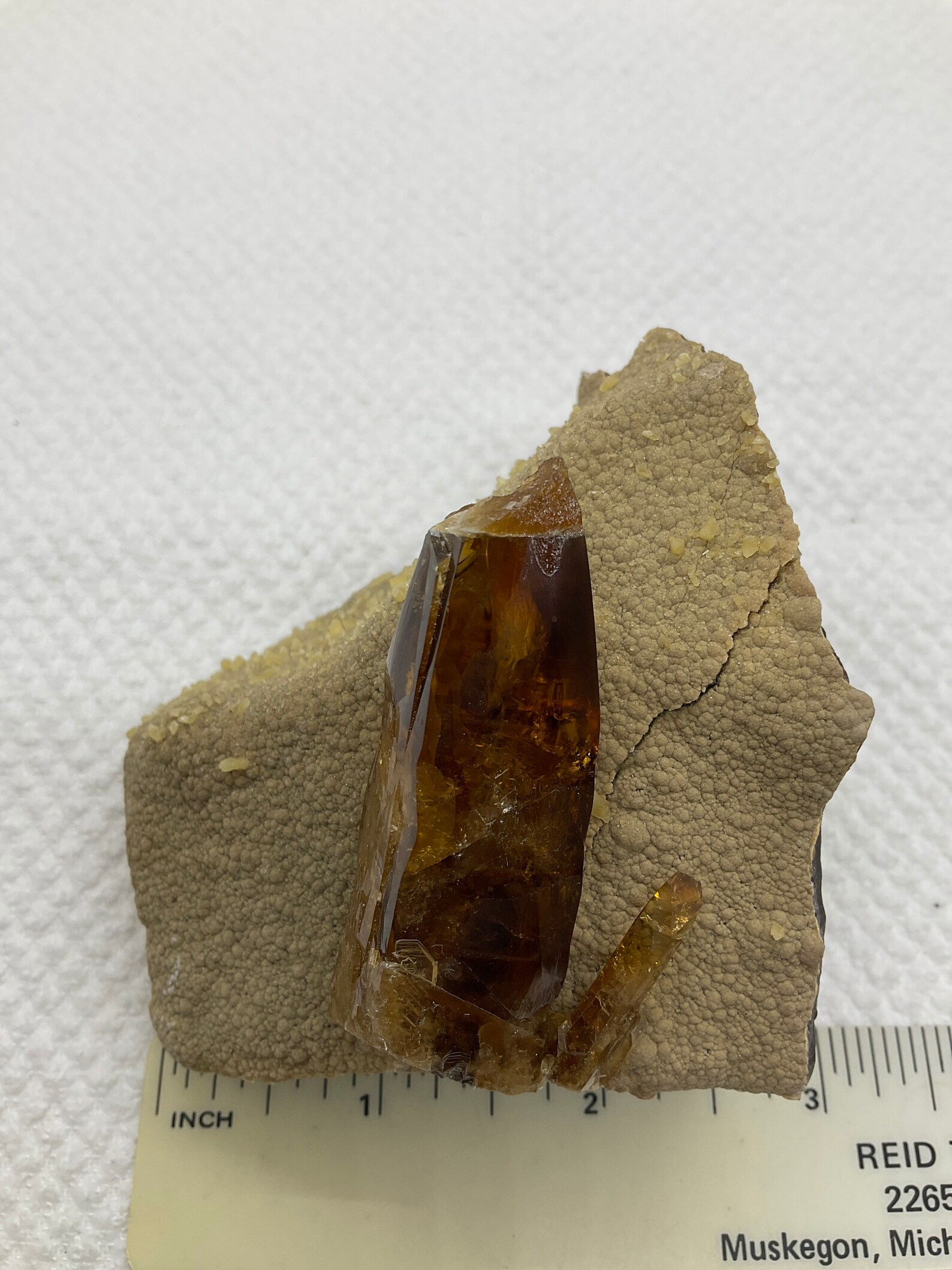 Barite on Calcite in Septarian Nodule – Gemmy Amber Barite Crystal