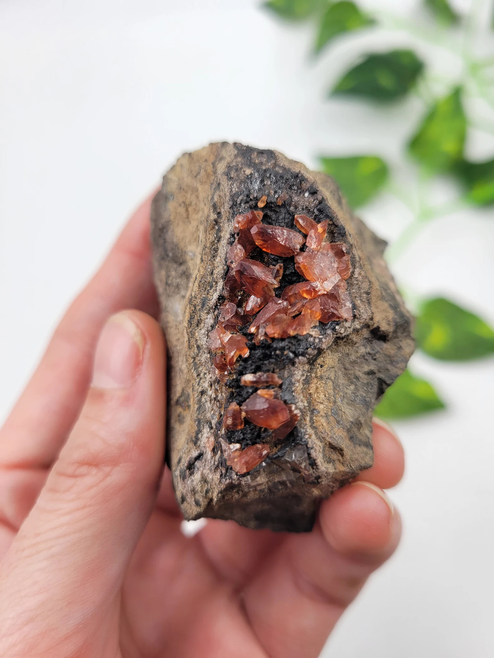 Rhodochrosite on Black Manganite - Deep Red Terminated Crystal Cluster
