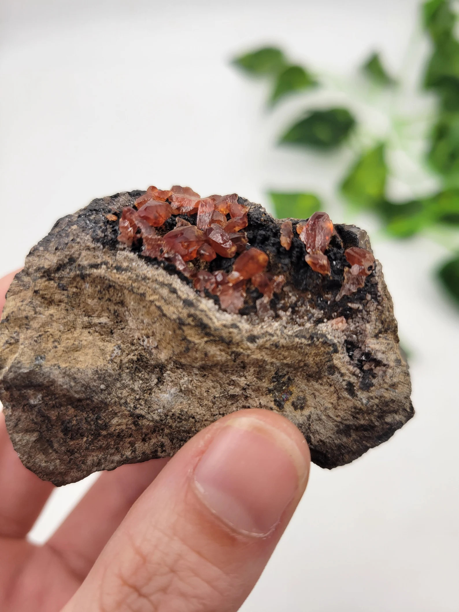 Rhodochrosite on Black Manganite - Deep Red Terminated Crystal Cluster