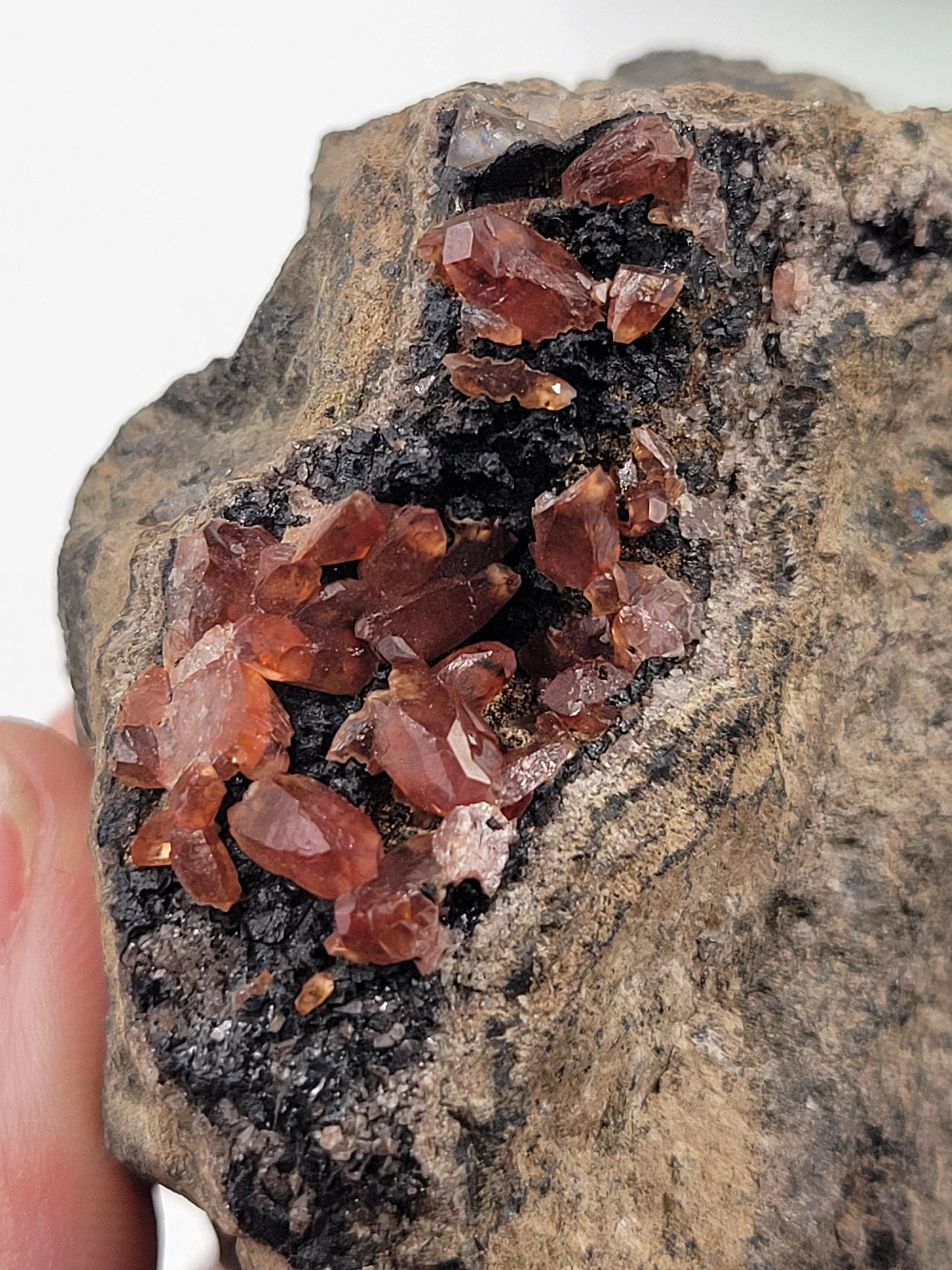 Rhodochrosite on Black Manganite - Deep Red Terminated Crystal Cluster