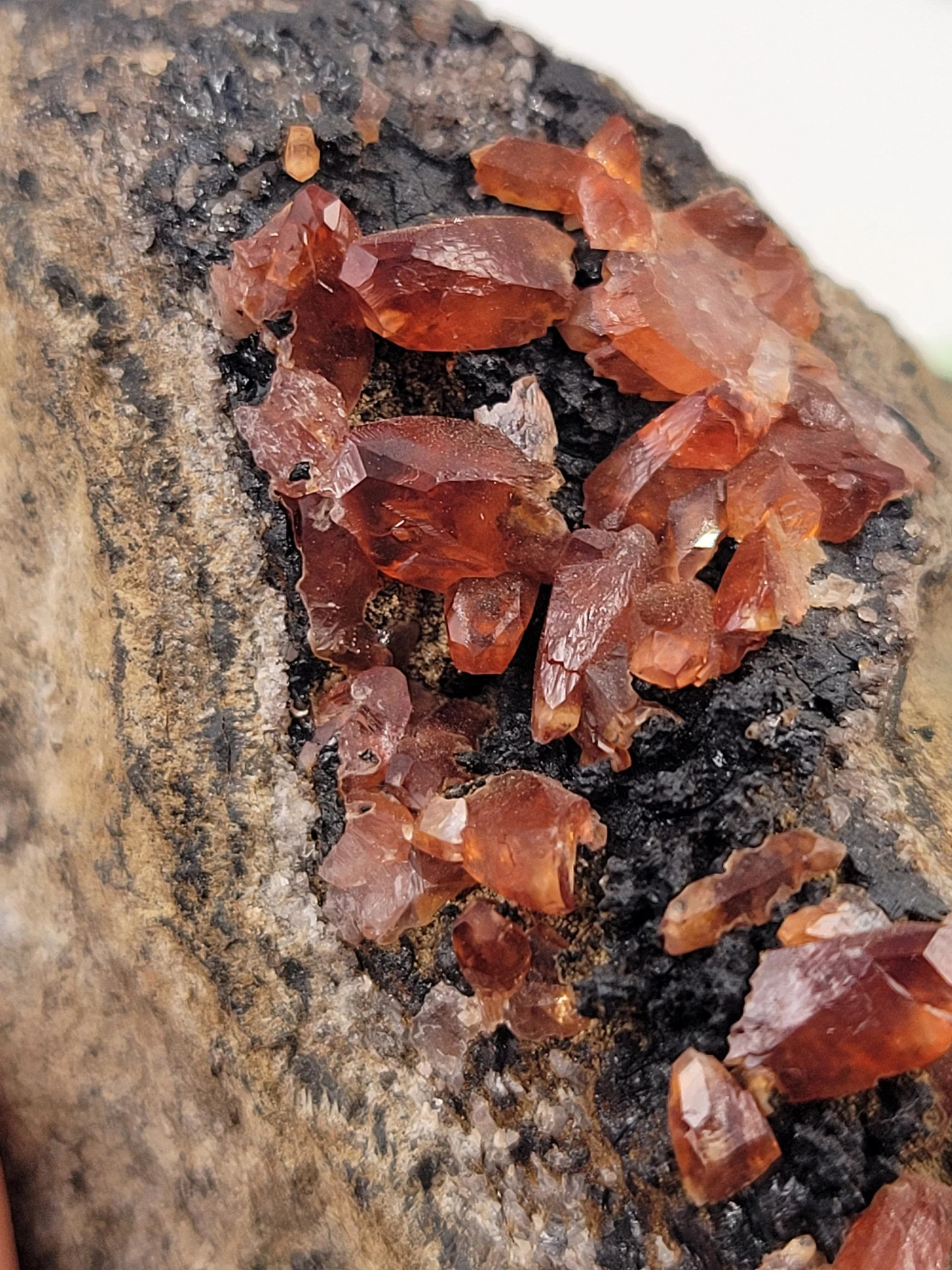 Rhodochrosite on Black Manganite - Deep Red Terminated Crystal Cluster