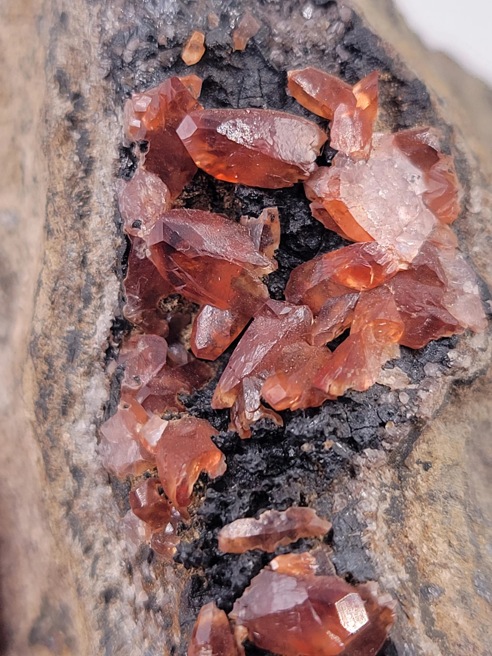 Rhodochrosite on Black Manganite - Deep Red Terminated Crystal Cluster