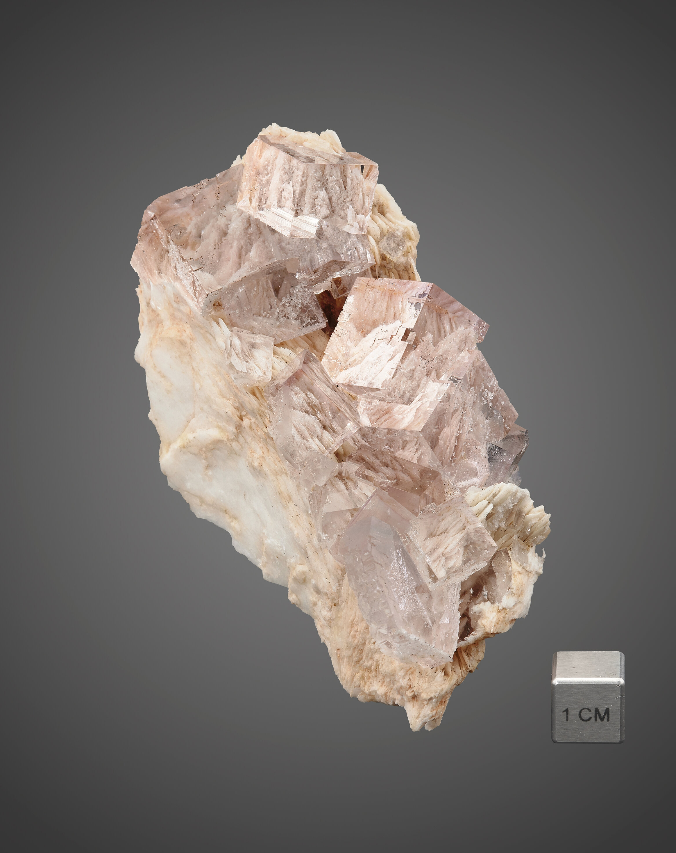 Fluorite on Baryte – Gem-Clear Lilac Cubes on Bladed Baryte Matrix