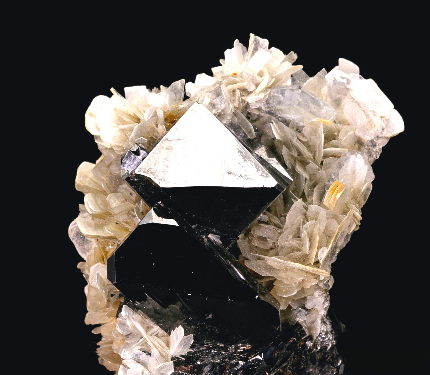 Cassiterite with Muscovite – Mirror-Luster Crystals on Mica Matrix