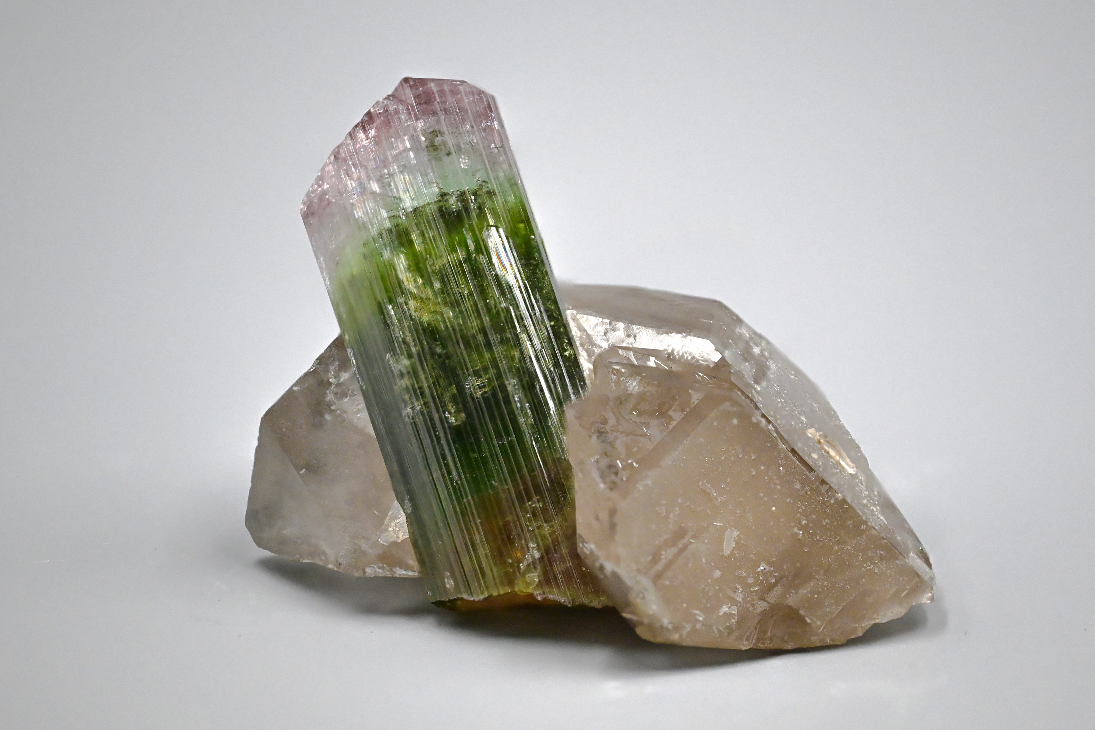 Elbaite Tourmaline with Smoky Quartz – Bi-Color Watermelon Zoning, Sharp Termination, Paprok Classic