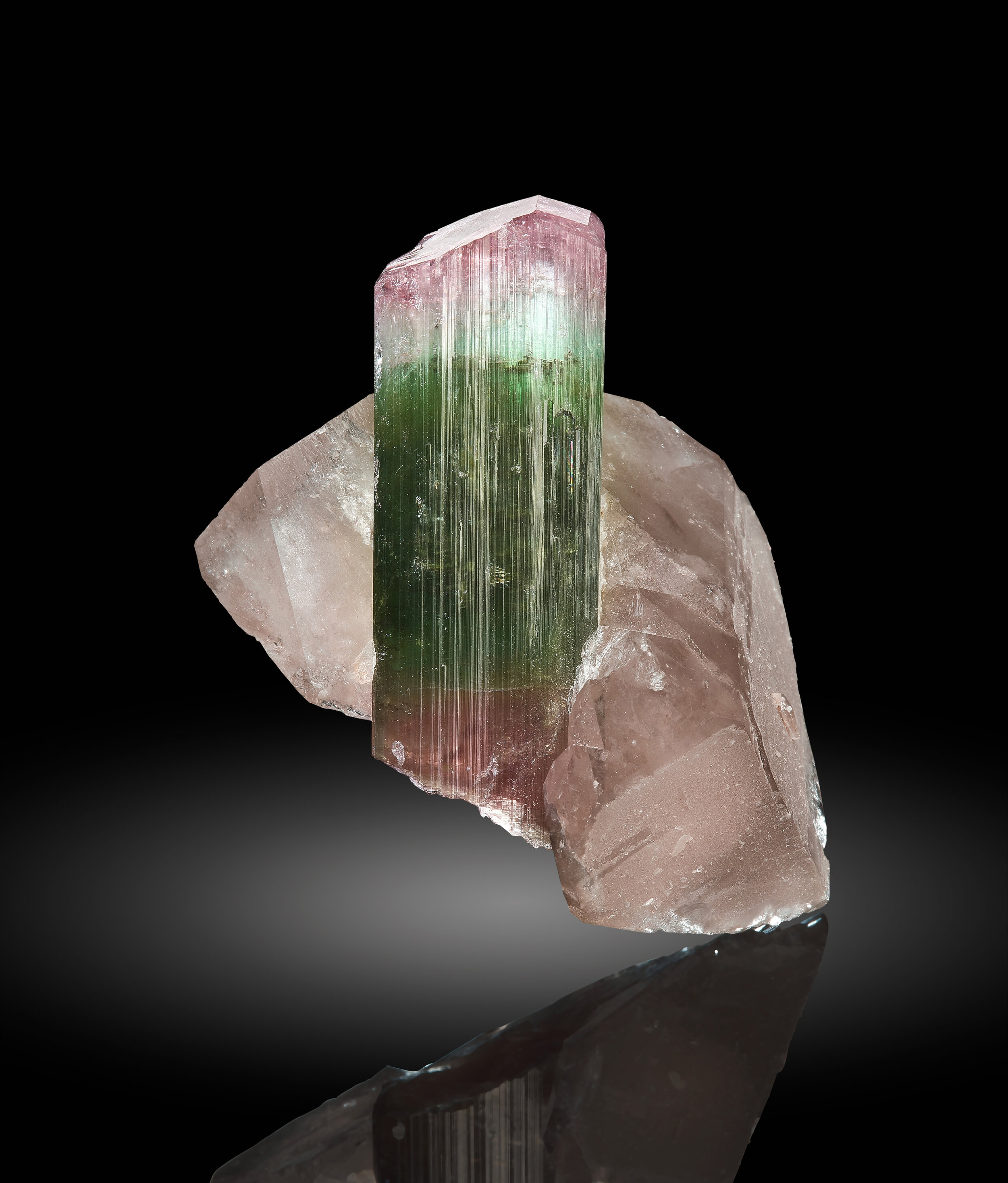 Elbaite Tourmaline with Smoky Quartz – Bi-Color Watermelon Zoning, Sharp Termination, Paprok Classic