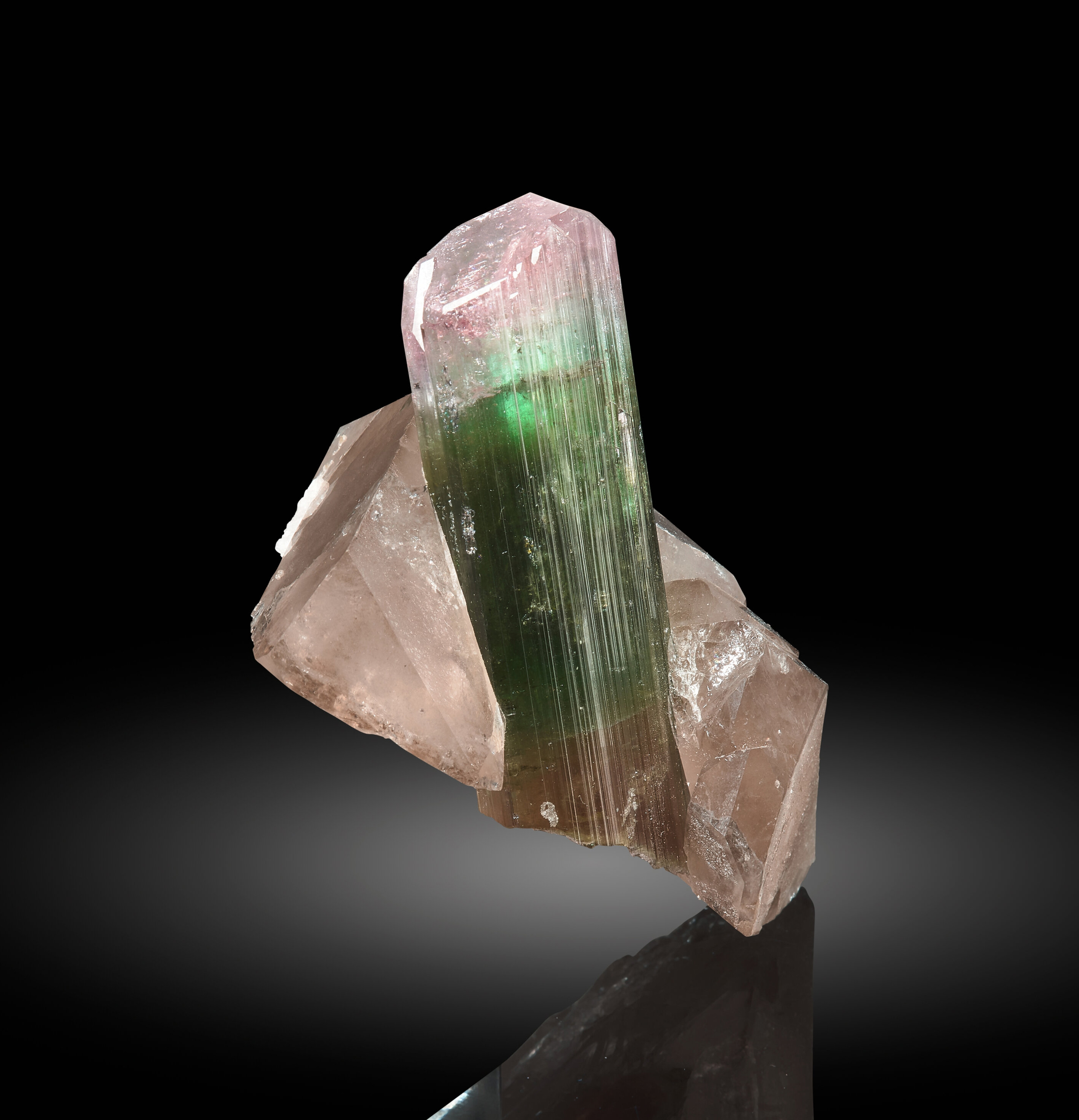 Elbaite Tourmaline with Smoky Quartz – Bi-Color Watermelon Zoning, Sharp Termination, Paprok Classic