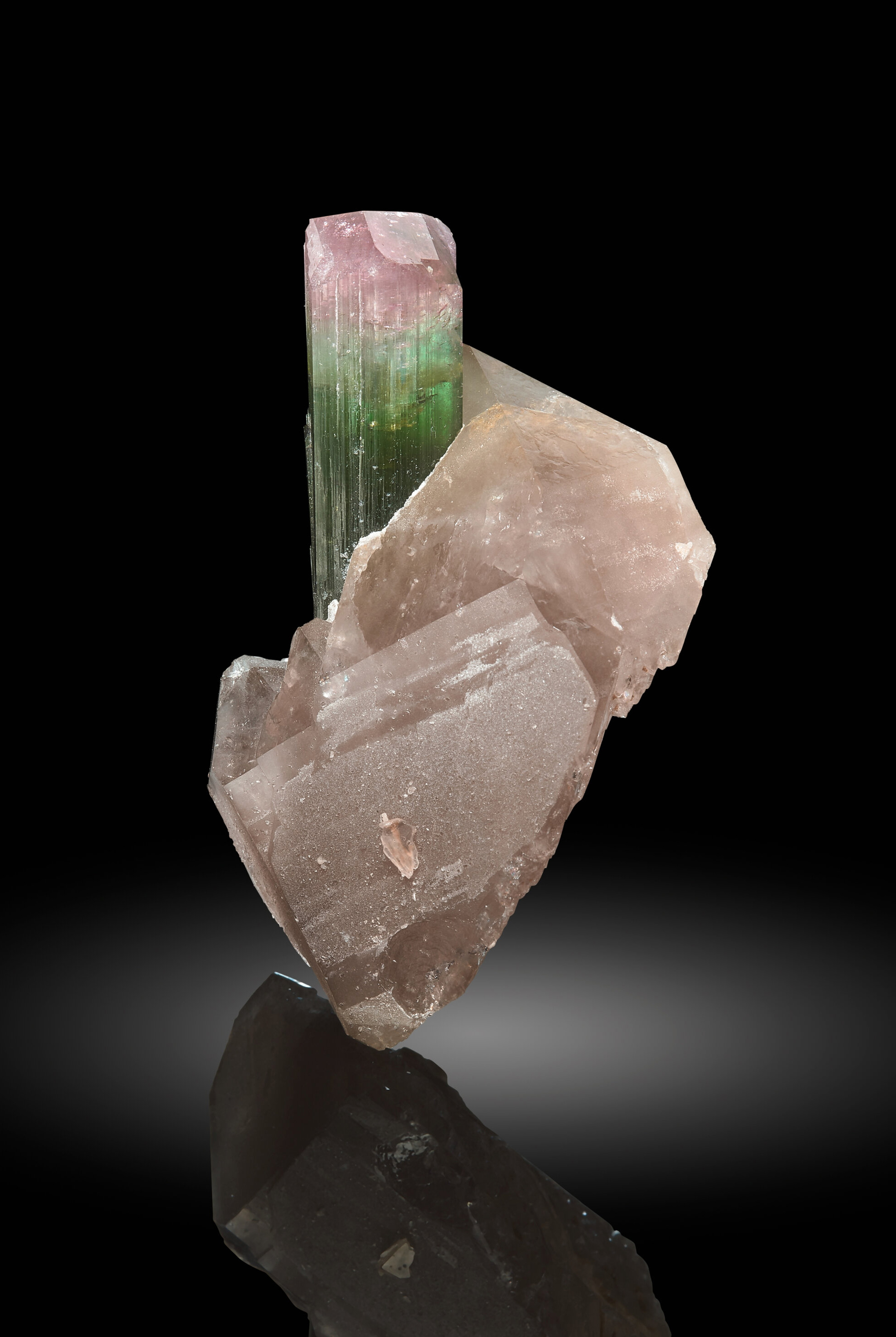 Elbaite Tourmaline with Smoky Quartz – Bi-Color Watermelon Zoning, Sharp Termination, Paprok Classic