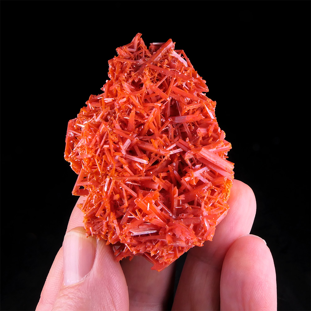 Crocoite – Fiery Red-Orange Radiating Acicular Crystal Aggregate, Classic Dundas