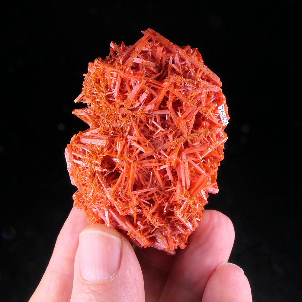 Crocoite – Fiery Red-Orange Radiating Acicular Crystal Aggregate, Classic Dundas
