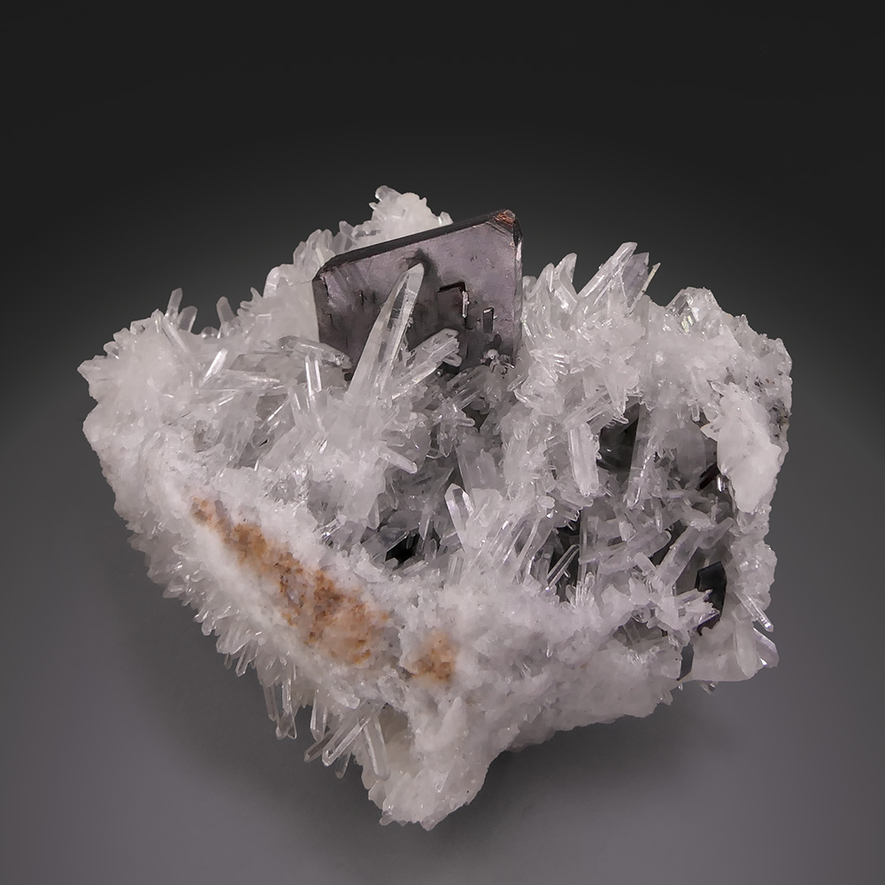 Hübnerite with Quartz – Bladed Tabular Crystal on Sparkling Quartz Matrix, Mundo Nuevo Classic