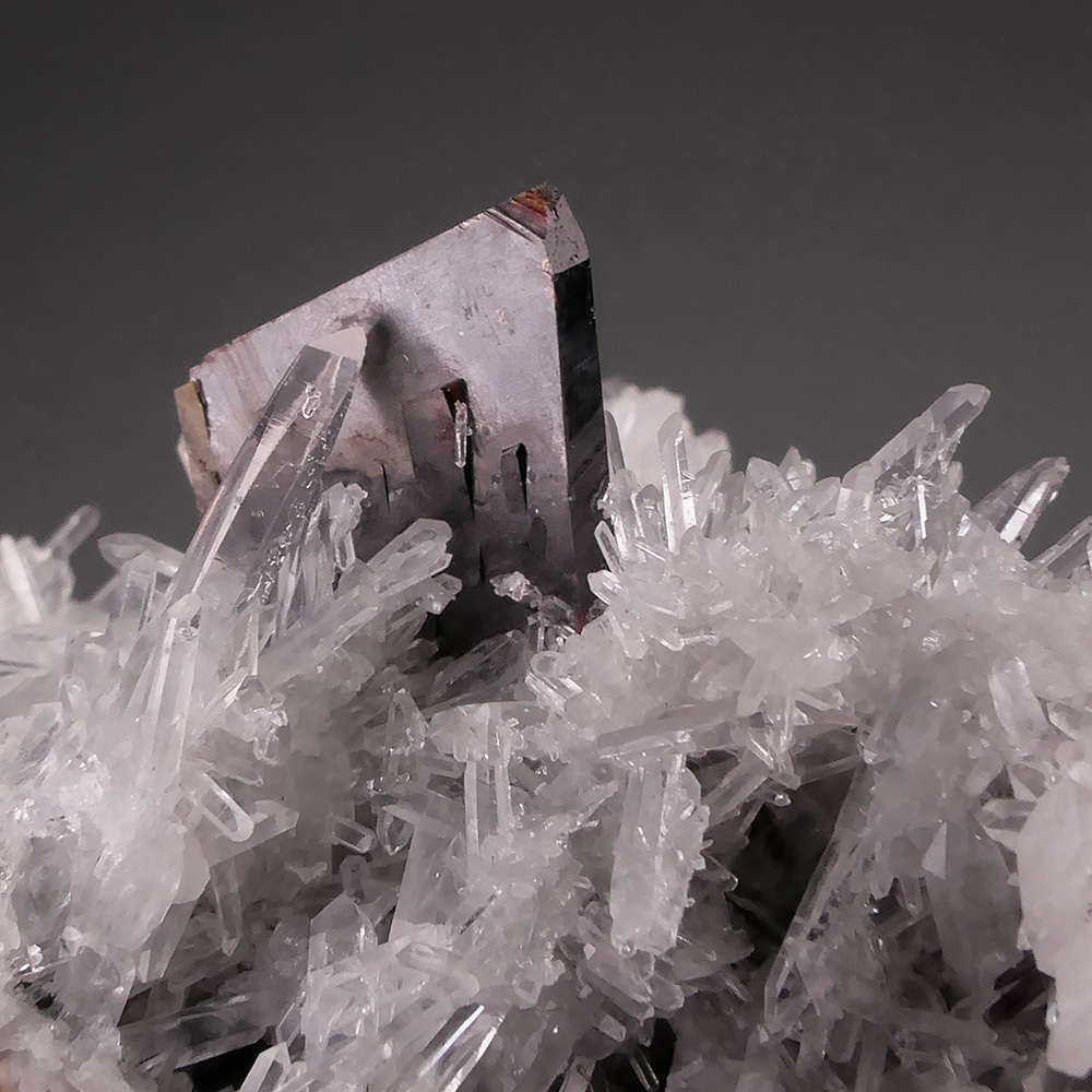 Hübnerite with Quartz – Bladed Tabular Crystal on Sparkling Quartz Matrix, Mundo Nuevo Classic