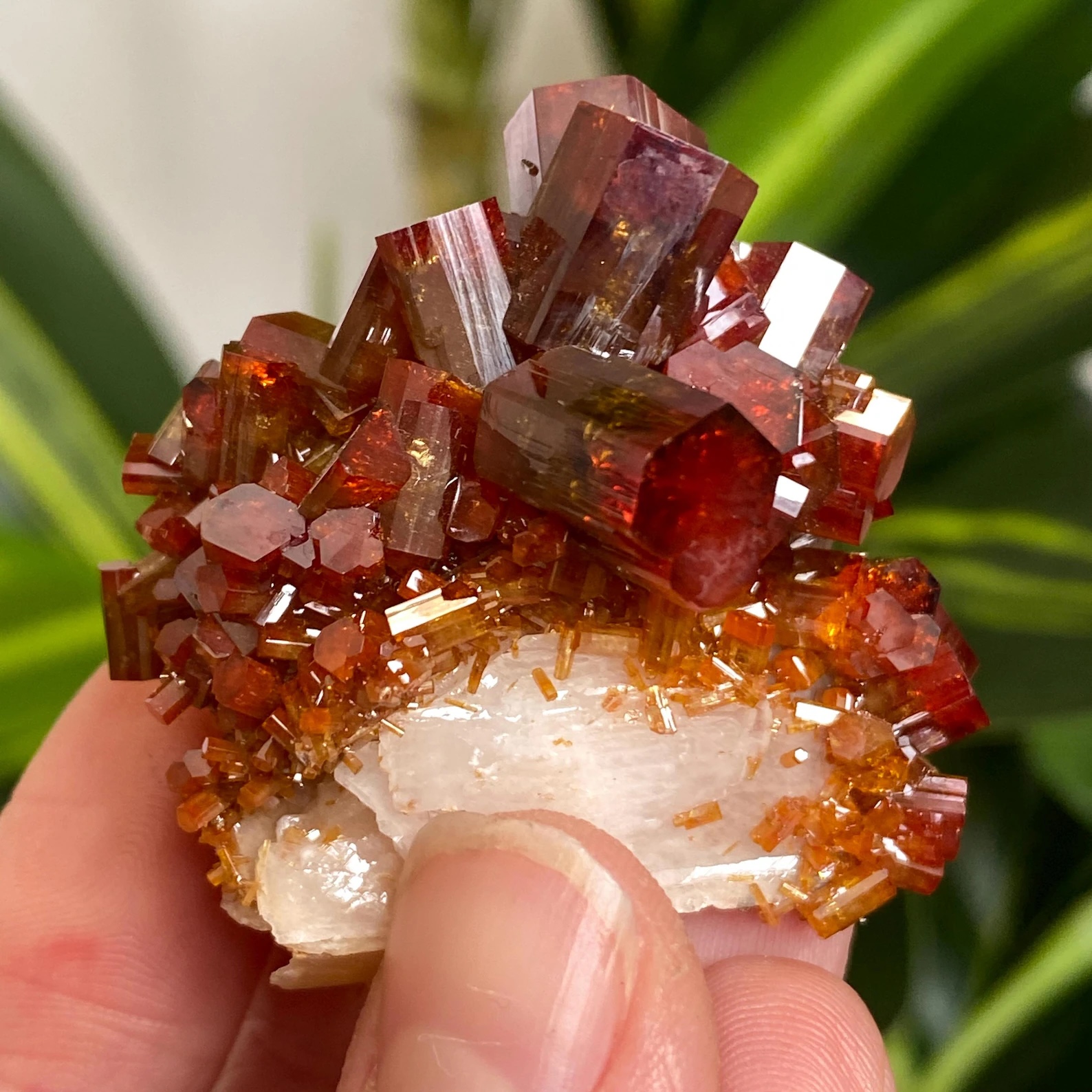 Vanadinite on Baryte – Elongated Beryl-Like Prismatic Crystals with Bi-Color Red Zoning