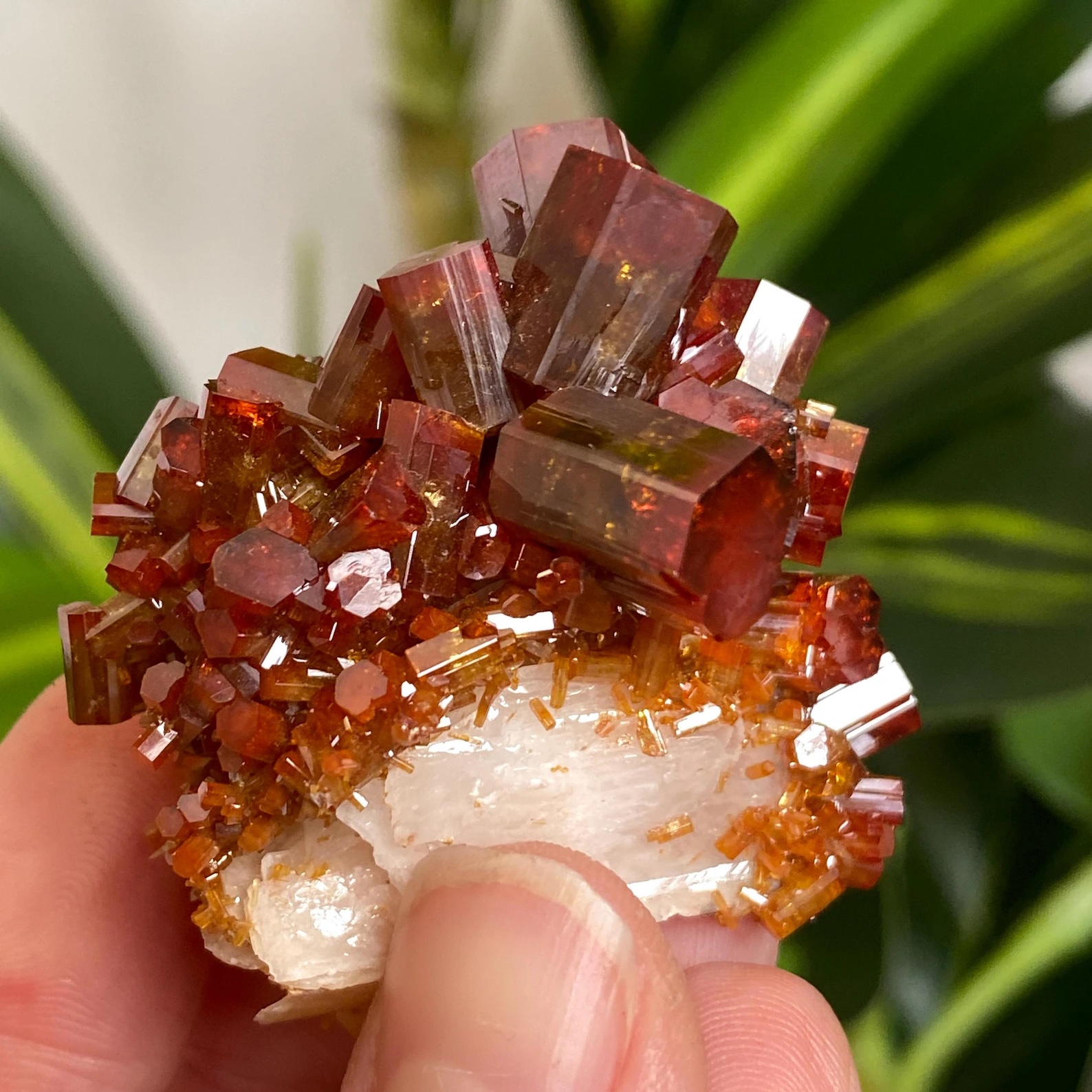 Vanadinite on Baryte – Elongated Beryl-Like Prismatic Crystals with Bi-Color Red Zoning