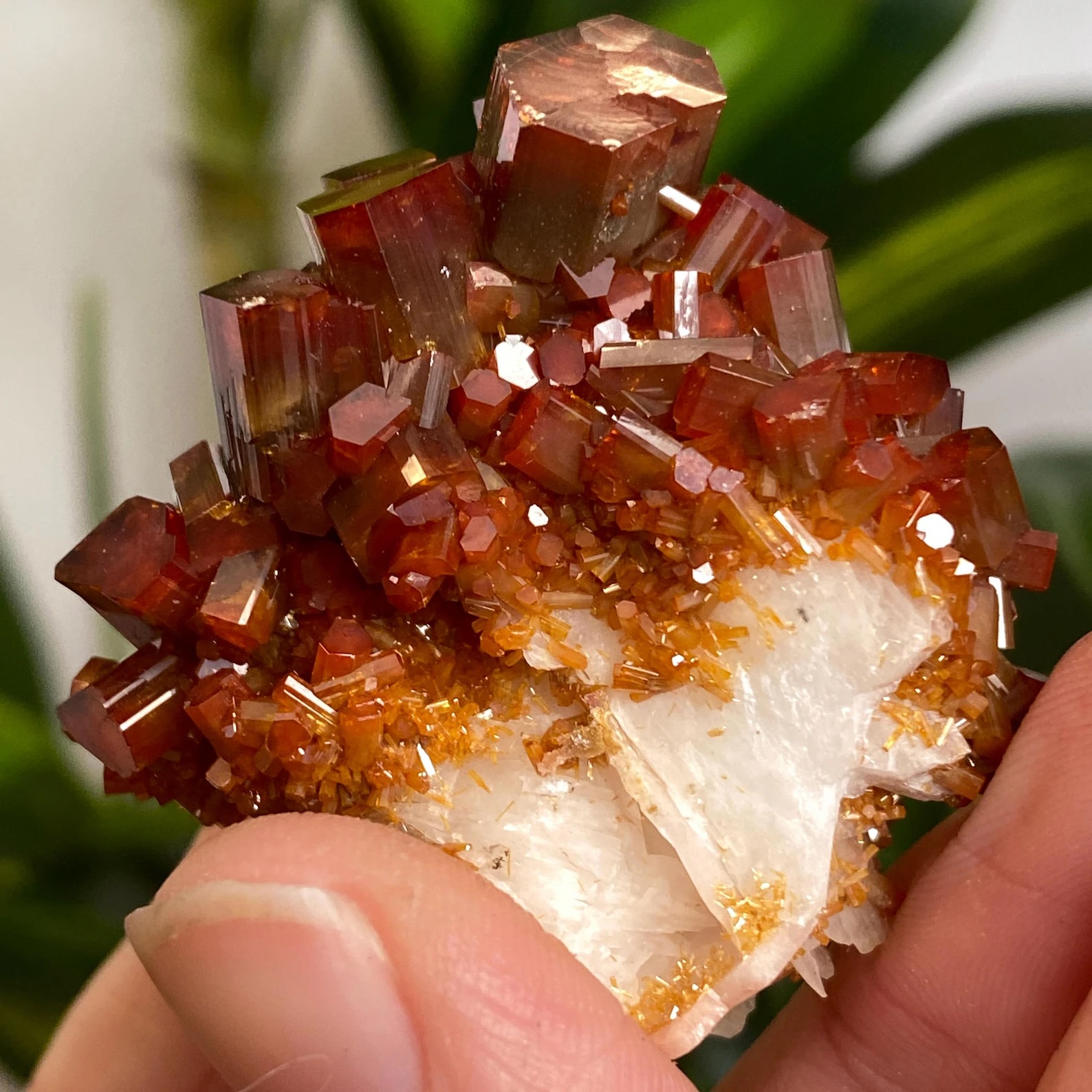 Vanadinite on Baryte – Elongated Beryl-Like Prismatic Crystals with Bi-Color Red Zoning