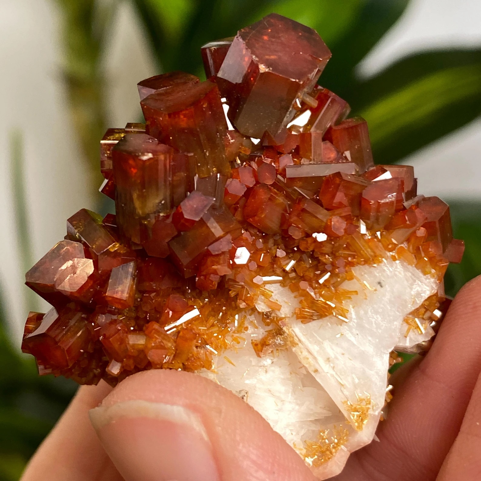 Vanadinite on Baryte – Elongated Beryl-Like Prismatic Crystals with Bi-Color Red Zoning