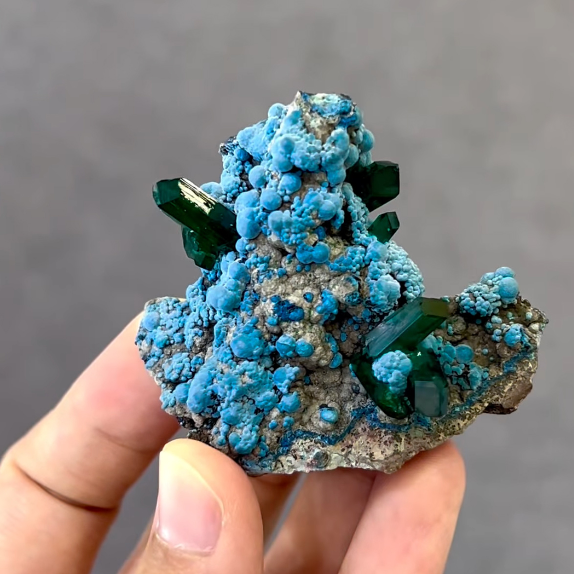 Dioptase on Chrysocolla – Gemmy Emerald-Green Crystals on Vibrant Botryoidal Blue Matrix