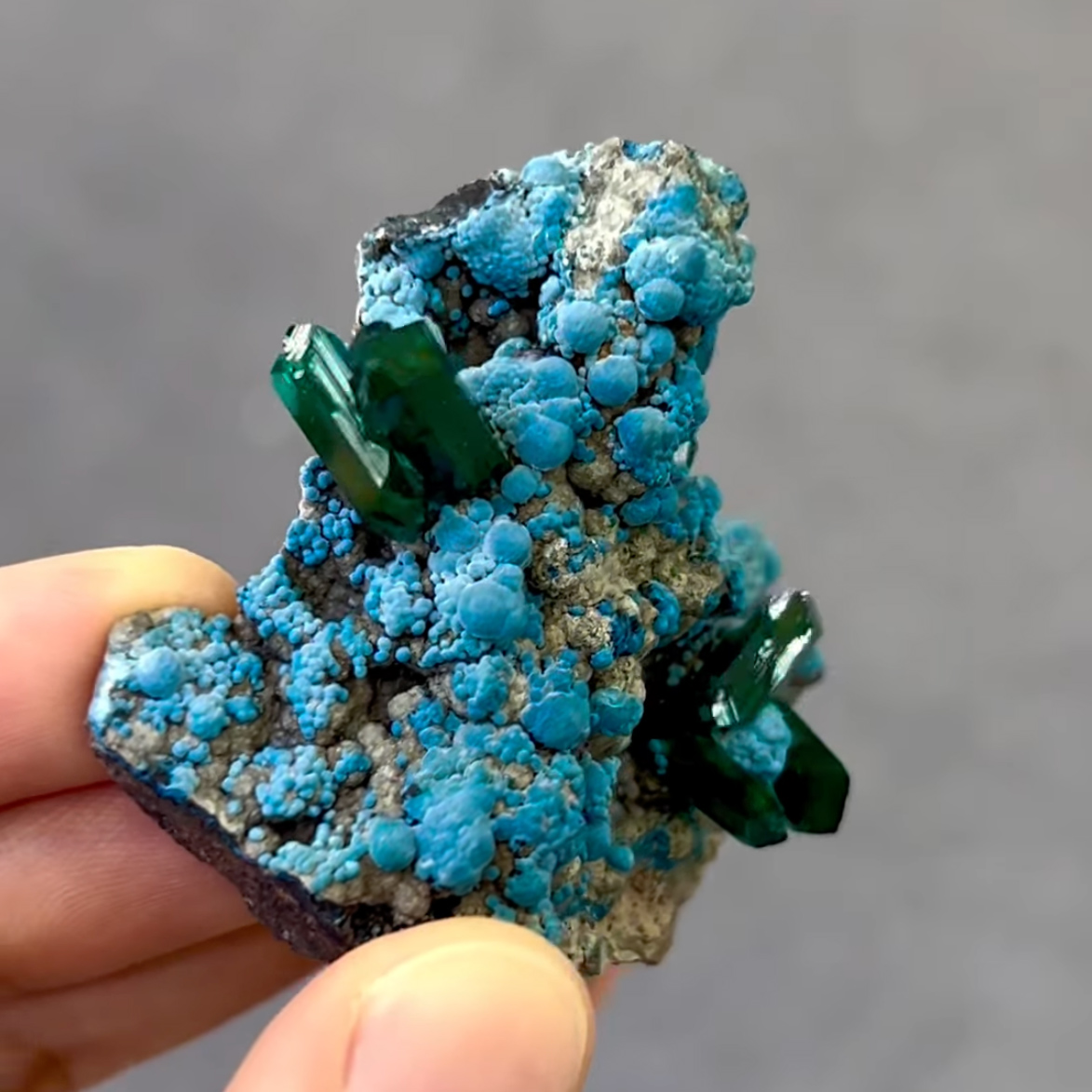 Dioptase on Chrysocolla – Gemmy Emerald-Green Crystals on Vibrant Botryoidal Blue Matrix