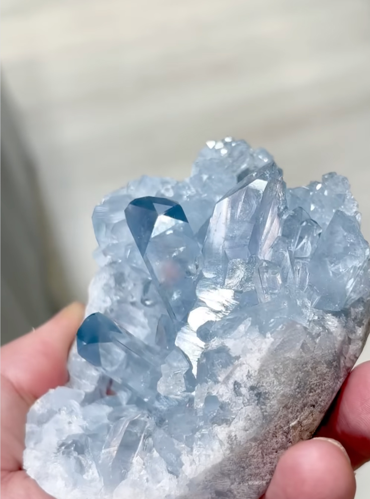 Celestine – Sky-Blue Geode Cluster with Gemmy Prismatic Crystals and Saturated Blue Terminations