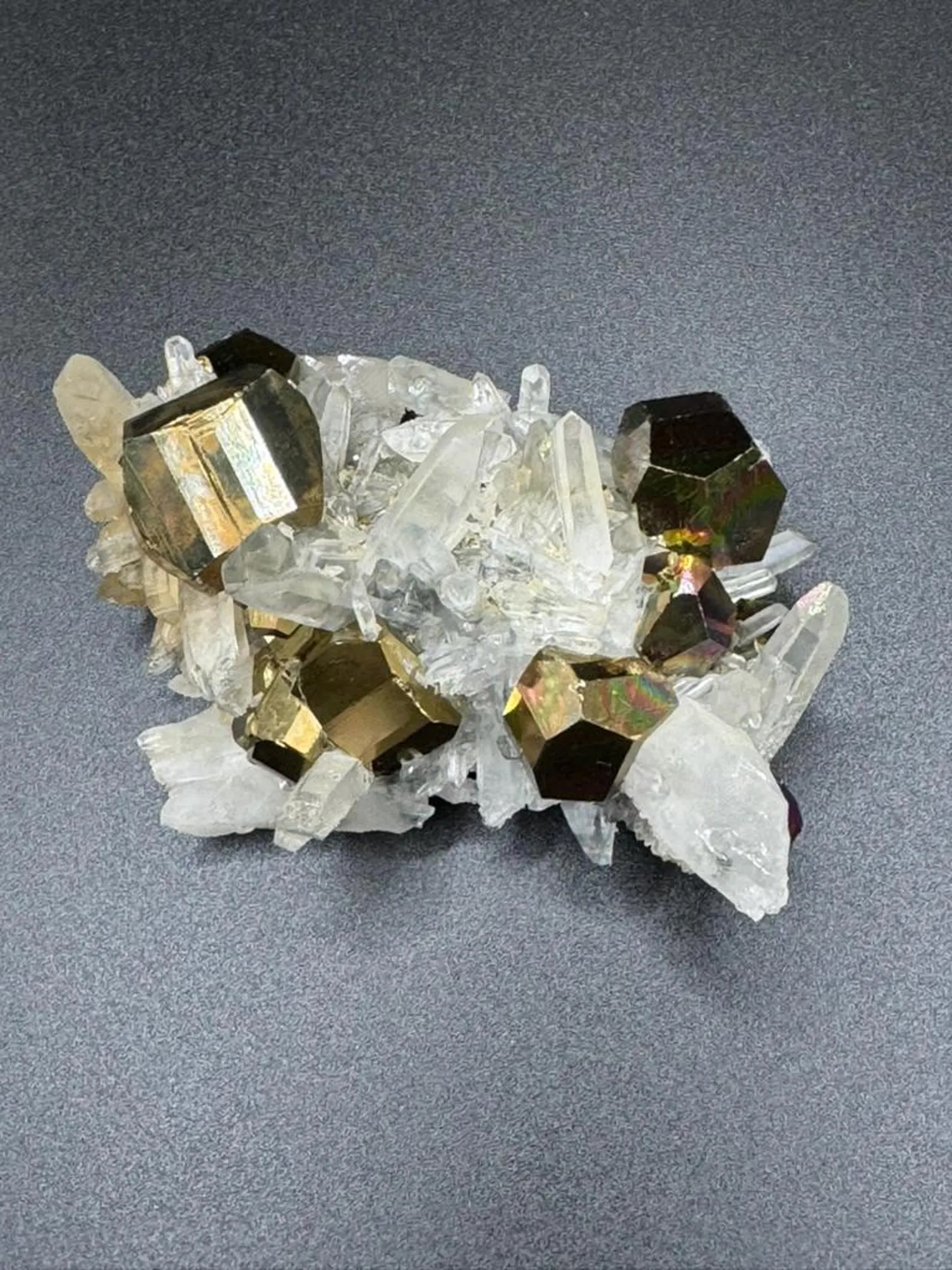 Related Specimen