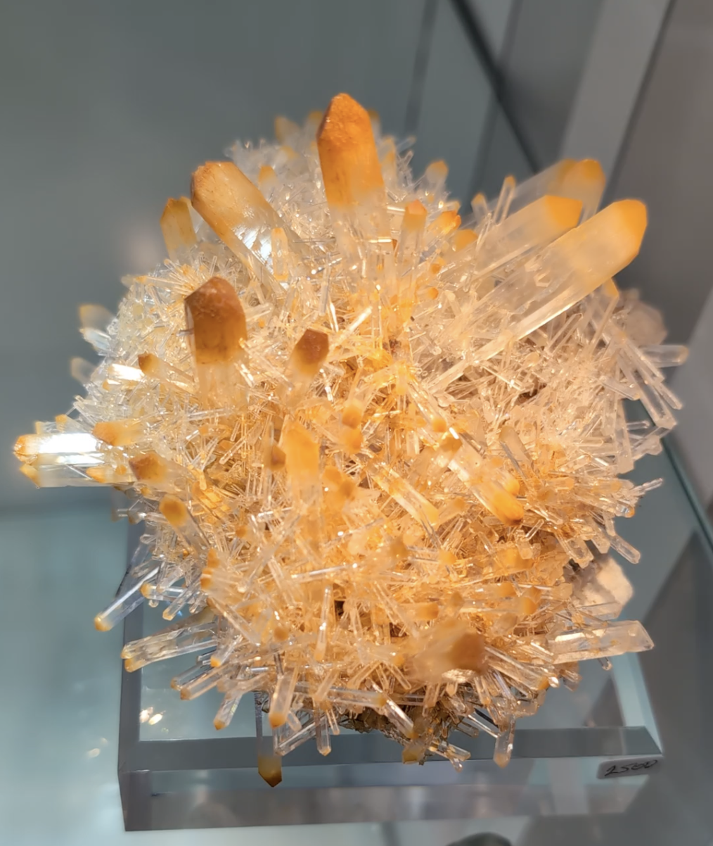Quartz var. Mango Quartz with Halloysite – Intricate Lustrous Needle Cluster with Saturated Orange-Yellow Terminations