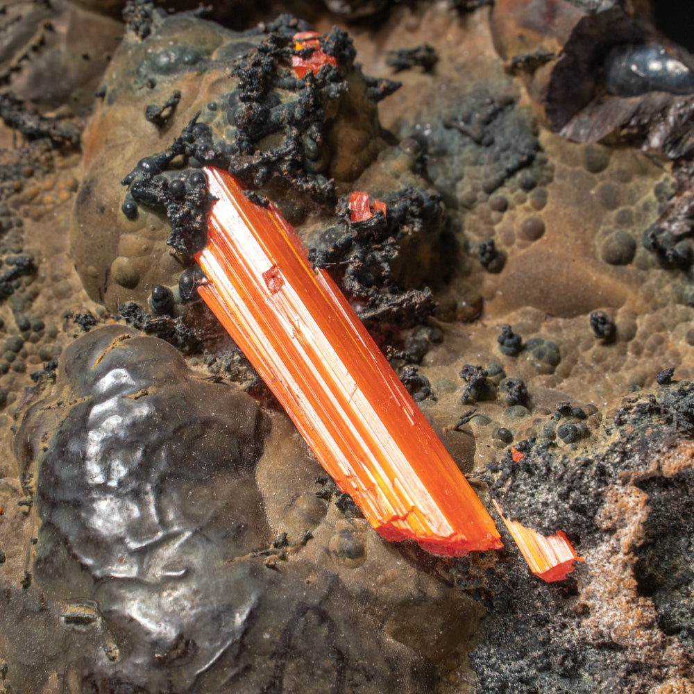 Crocoite on Hematite – Large Translucent Red-Orange Terminated Crystal on Botryoidal Metallic Matrix