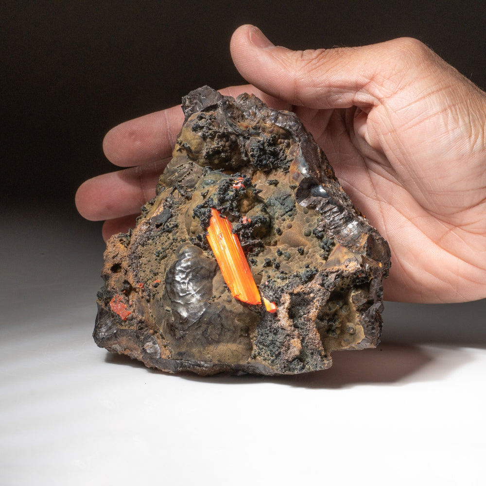 Crocoite on Hematite – Large Translucent Red-Orange Terminated Crystal on Botryoidal Metallic Matrix