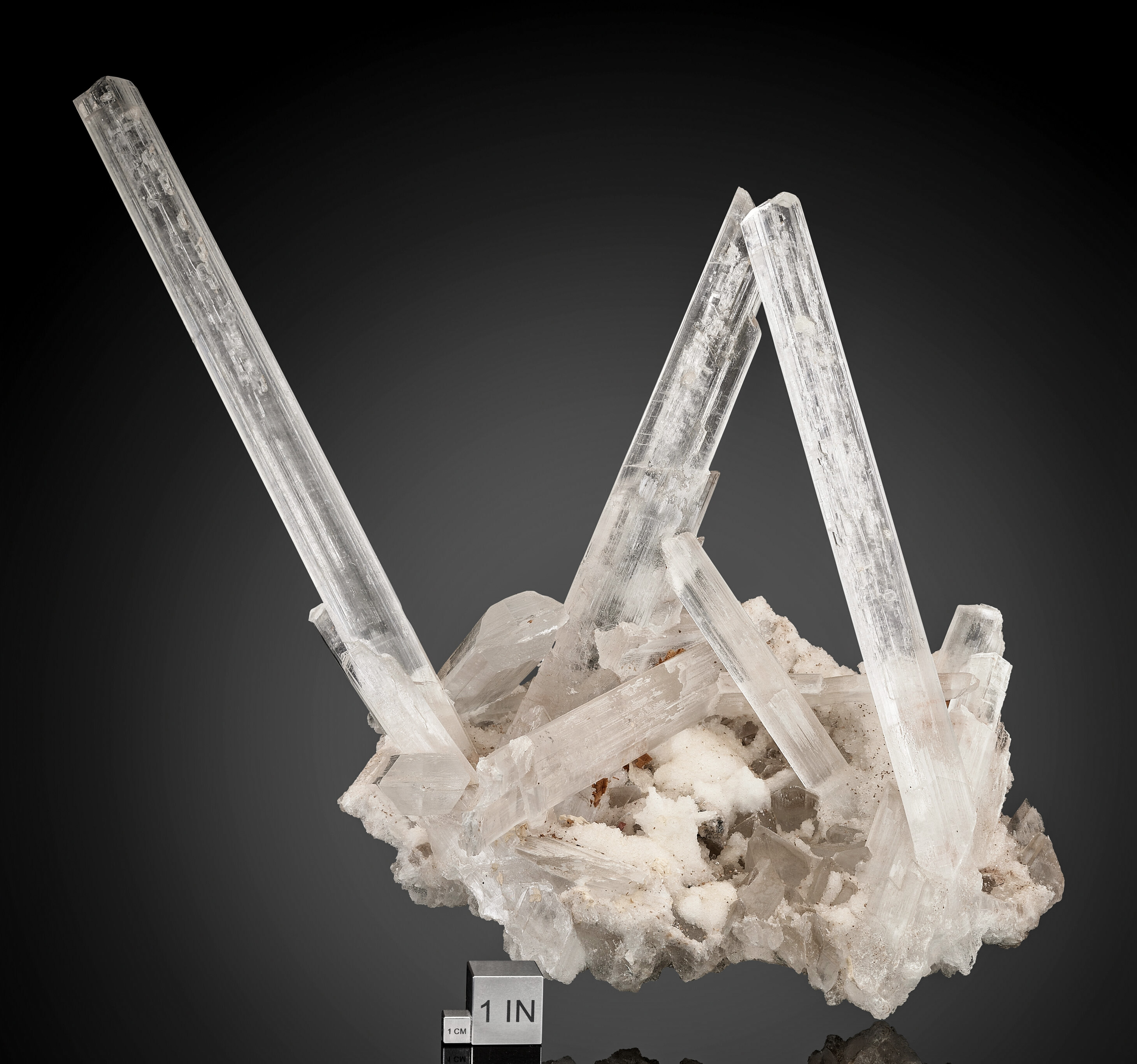 Gypsum var. Selenite – Monumental Gemmy Sword Crystal Cluster with Elongated Transparent Blades