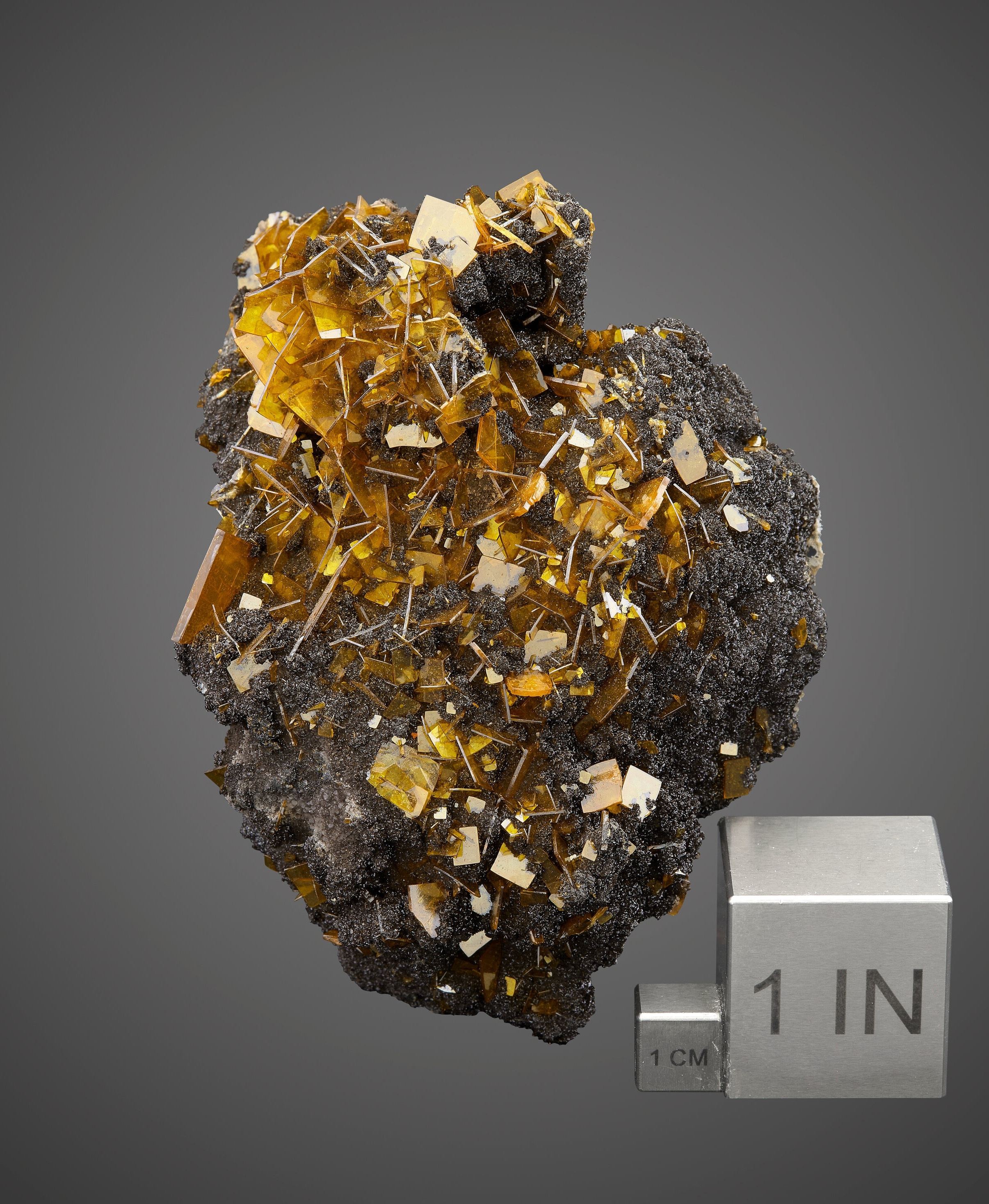 Wulfenite on Hematite – Glassy Yellow-Orange Tabular Crystals on Black Botryoidal Matrix