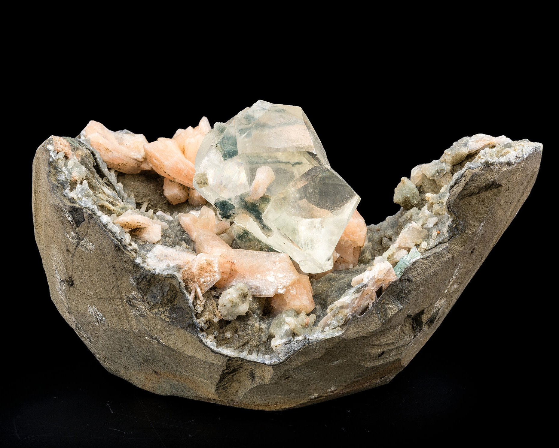 Related Specimen