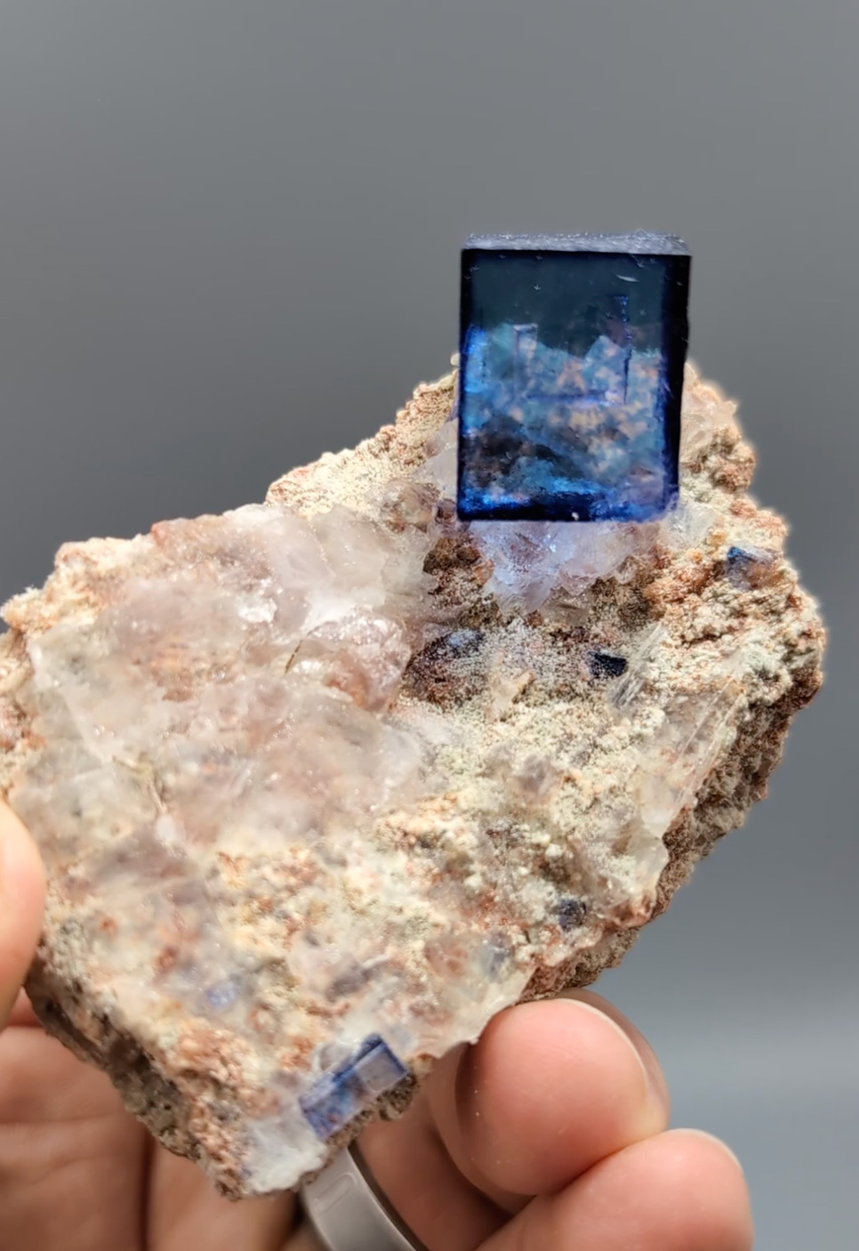 Halite on Matrix with Sylvite – Deep Blue Perfect Cube Elegantly Perched on Contrasting Matrix