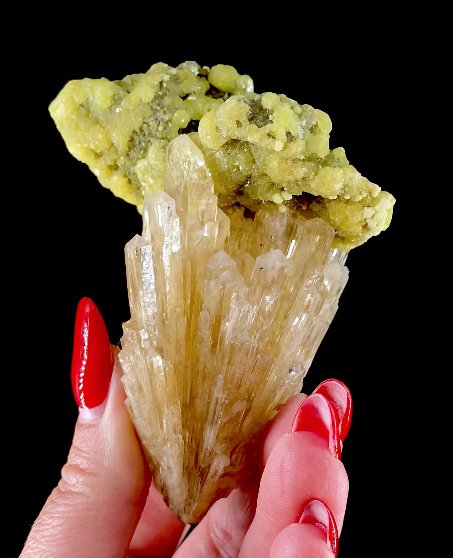 Sulfur on Celestine - Bright Yellow Crystals on Golden Prismatic Spray