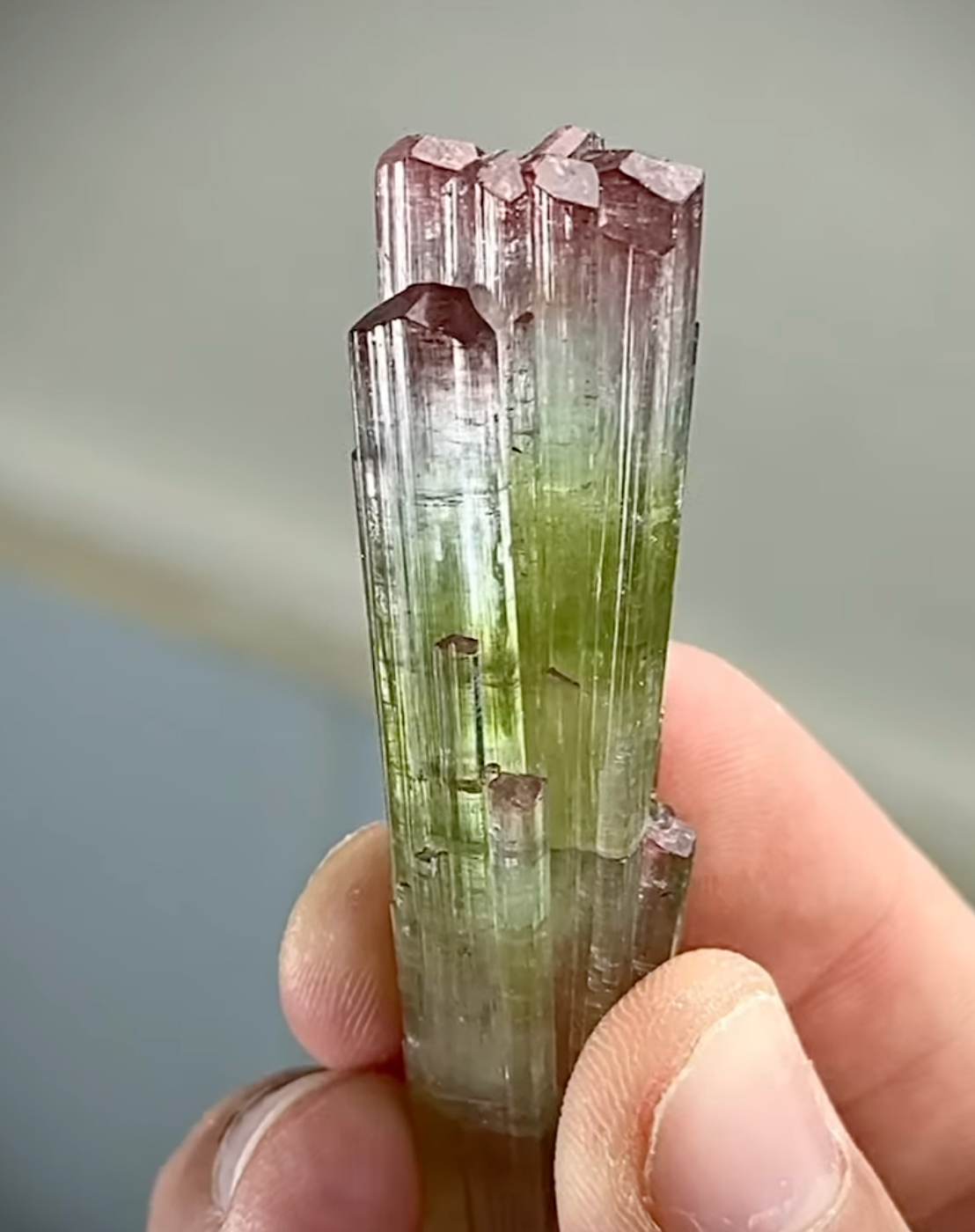 Tourmaline - Natural Watermelon Multicolor Crystal with Pristine Termination
