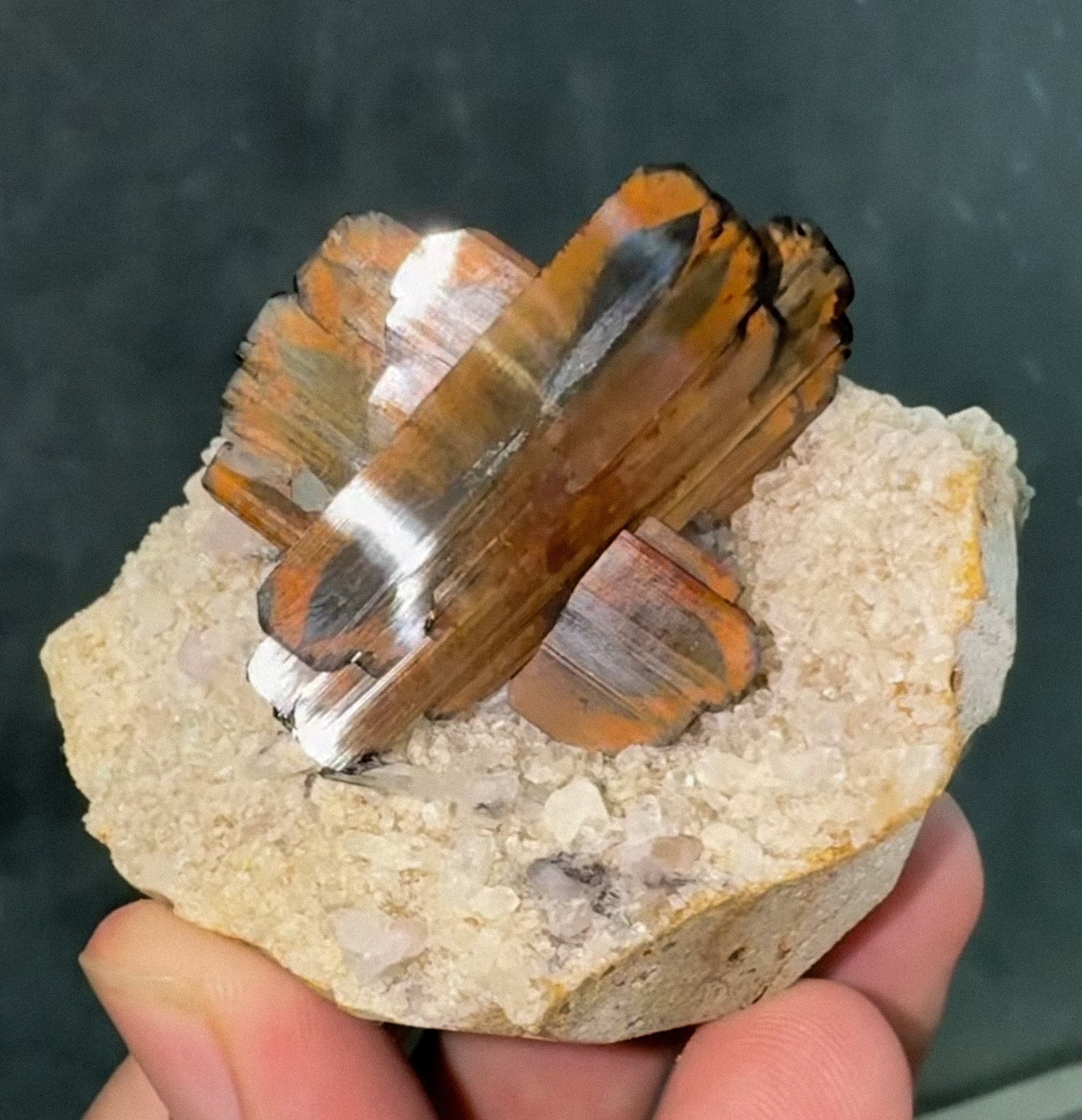 Brookite with Quartz – Exceptional Double-Terminated Crystals with Superb Luster