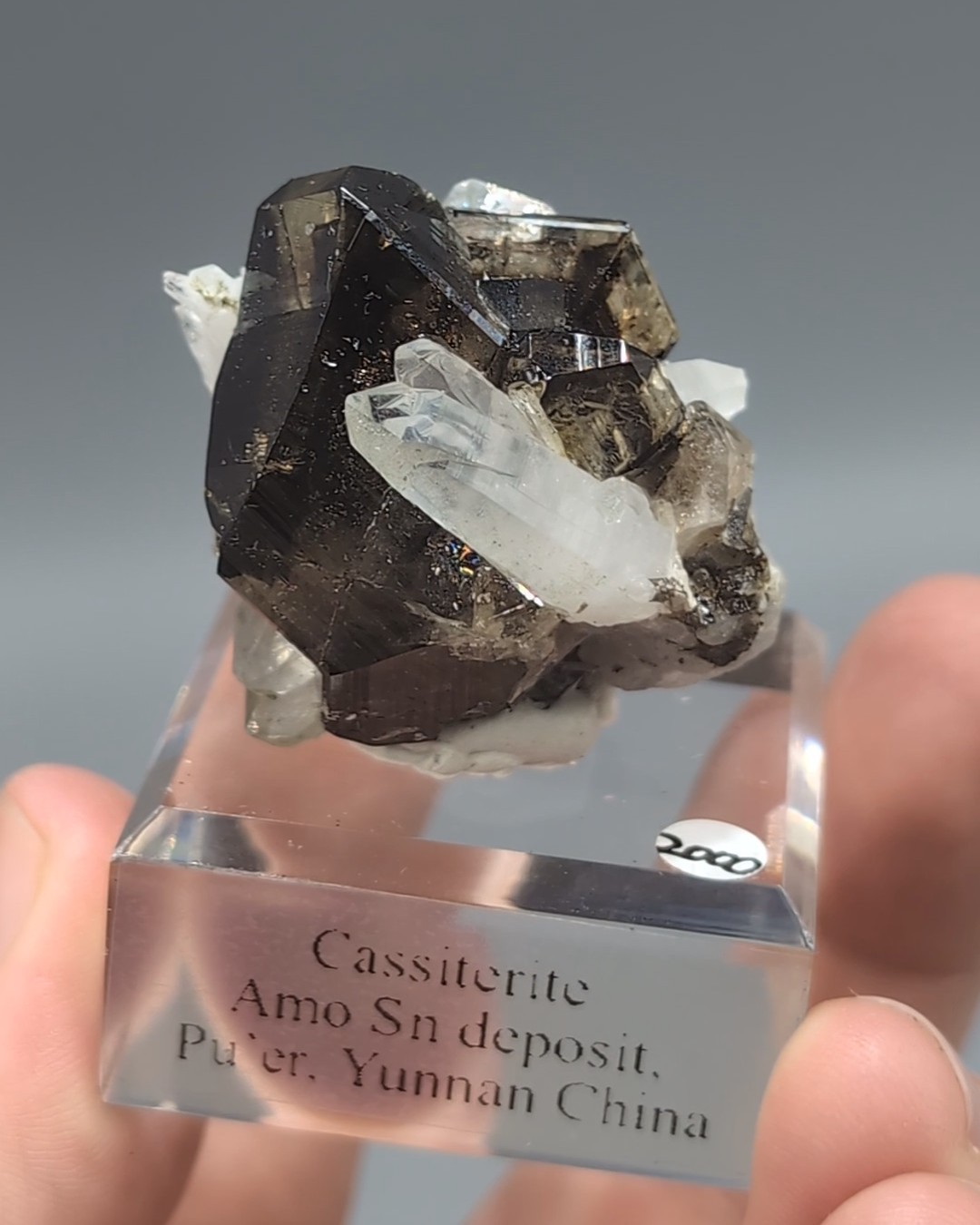 Cassiterite with Quartz - Lustrous, Gemmy Twinned Crystals