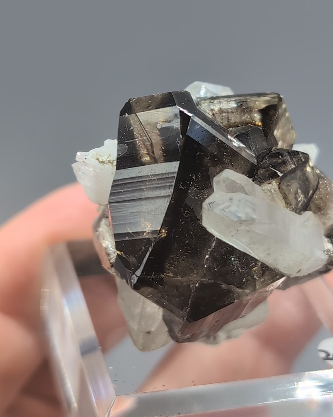 Cassiterite with Quartz - Lustrous, Gemmy Twinned Crystals