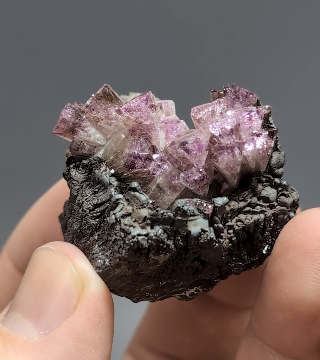 Adamite (Manganoan) - Purple Crystal Cluster on Goethite, Ojuela Mine