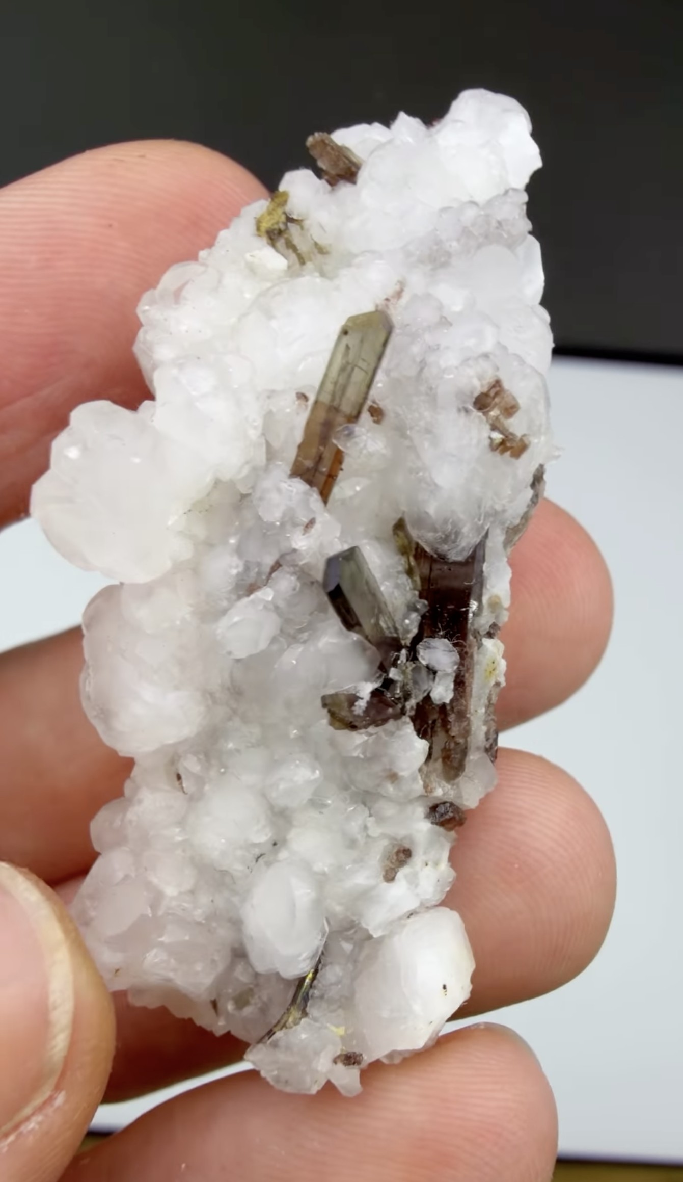 Allanite on Calcite - Lustrous Olive-Brown Blades on Snow-White Druse, Trimouns, France
