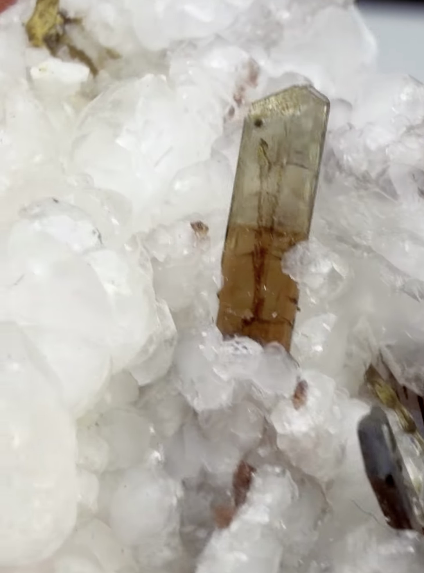Allanite on Calcite - Lustrous Olive-Brown Blades on Snow-White Druse, Trimouns, France