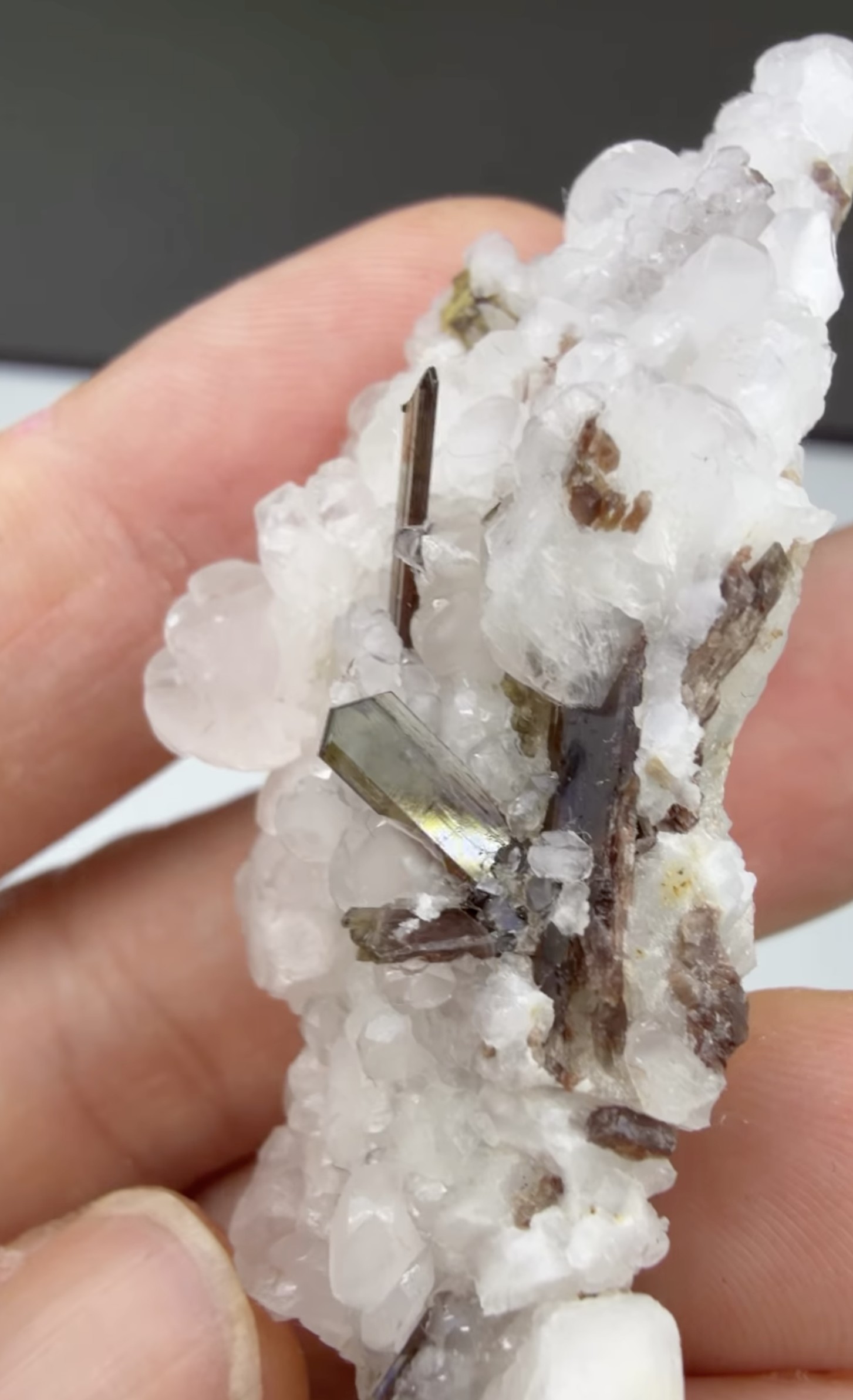 Allanite on Calcite - Lustrous Olive-Brown Blades on Snow-White Druse, Trimouns, France
