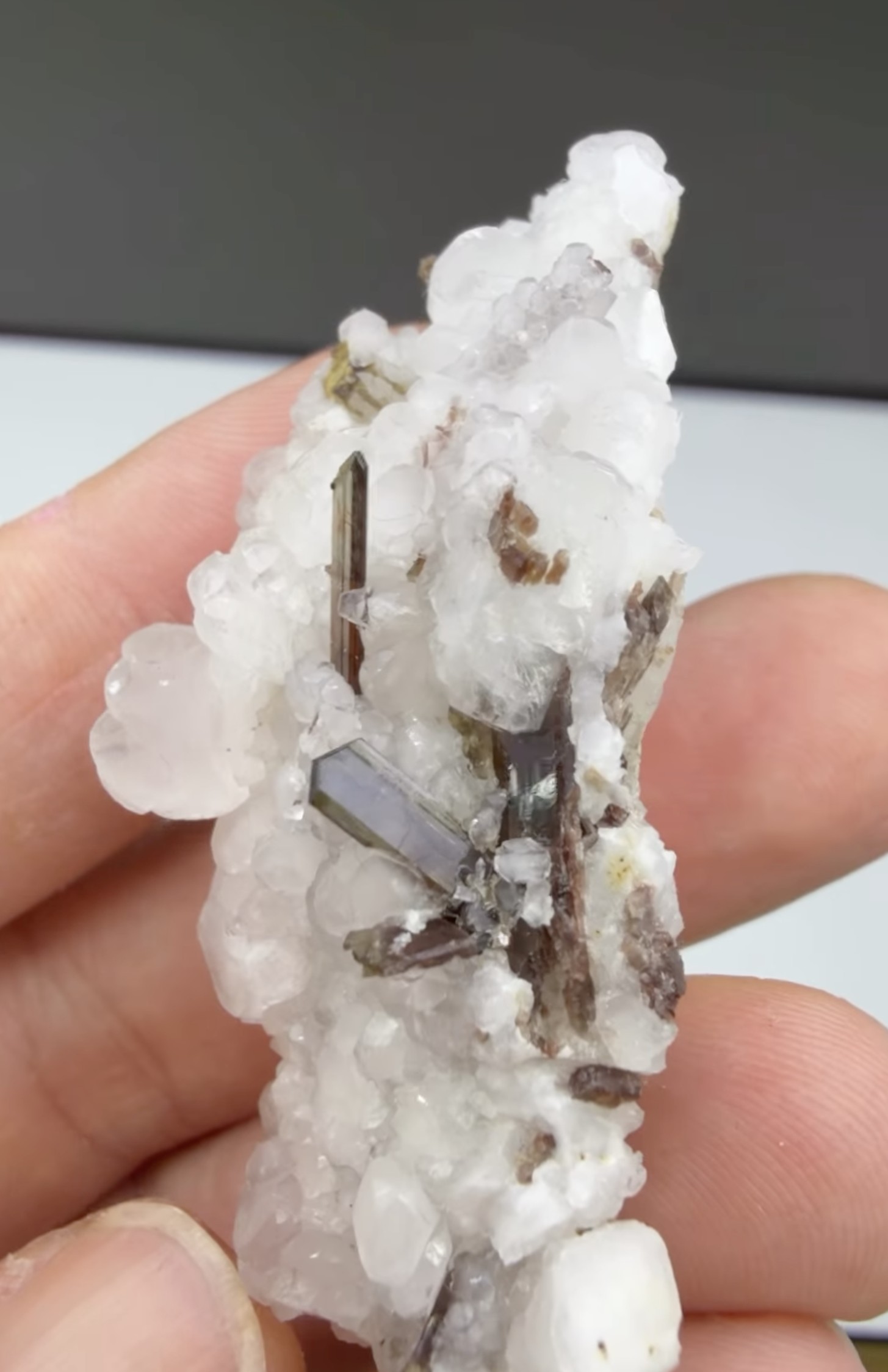 Allanite on Calcite - Lustrous Olive-Brown Blades on Snow-White Druse, Trimouns, France