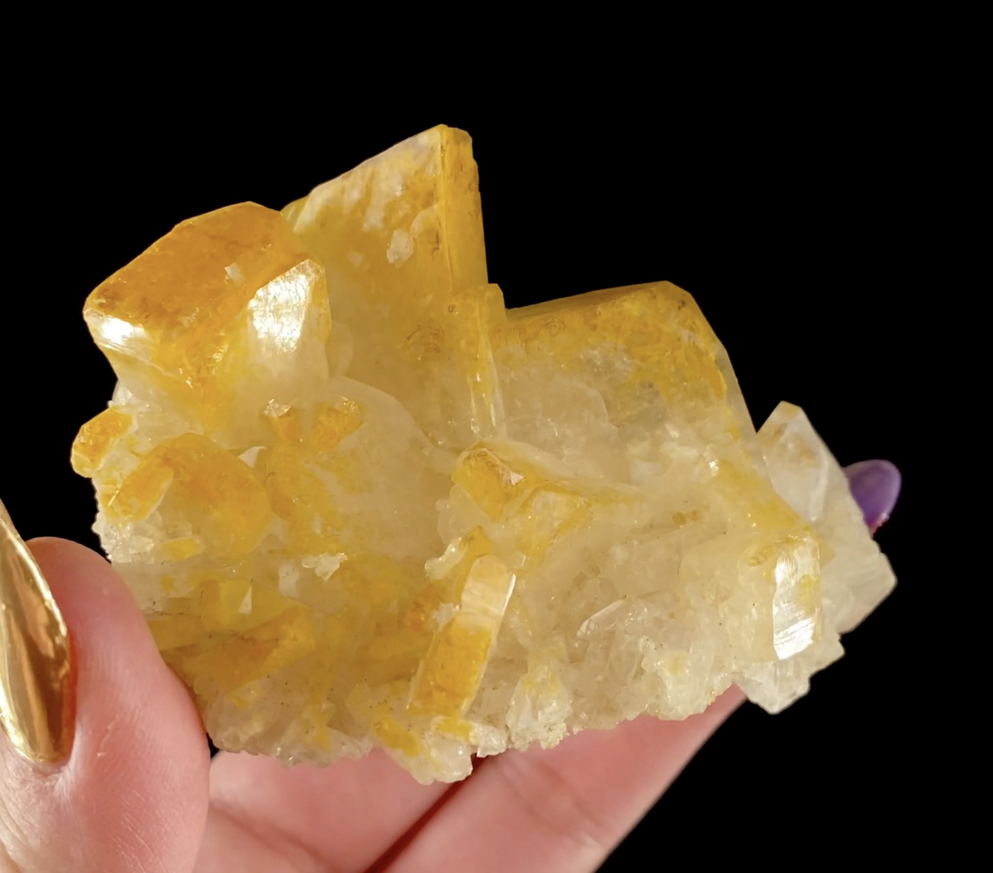 Related Specimen