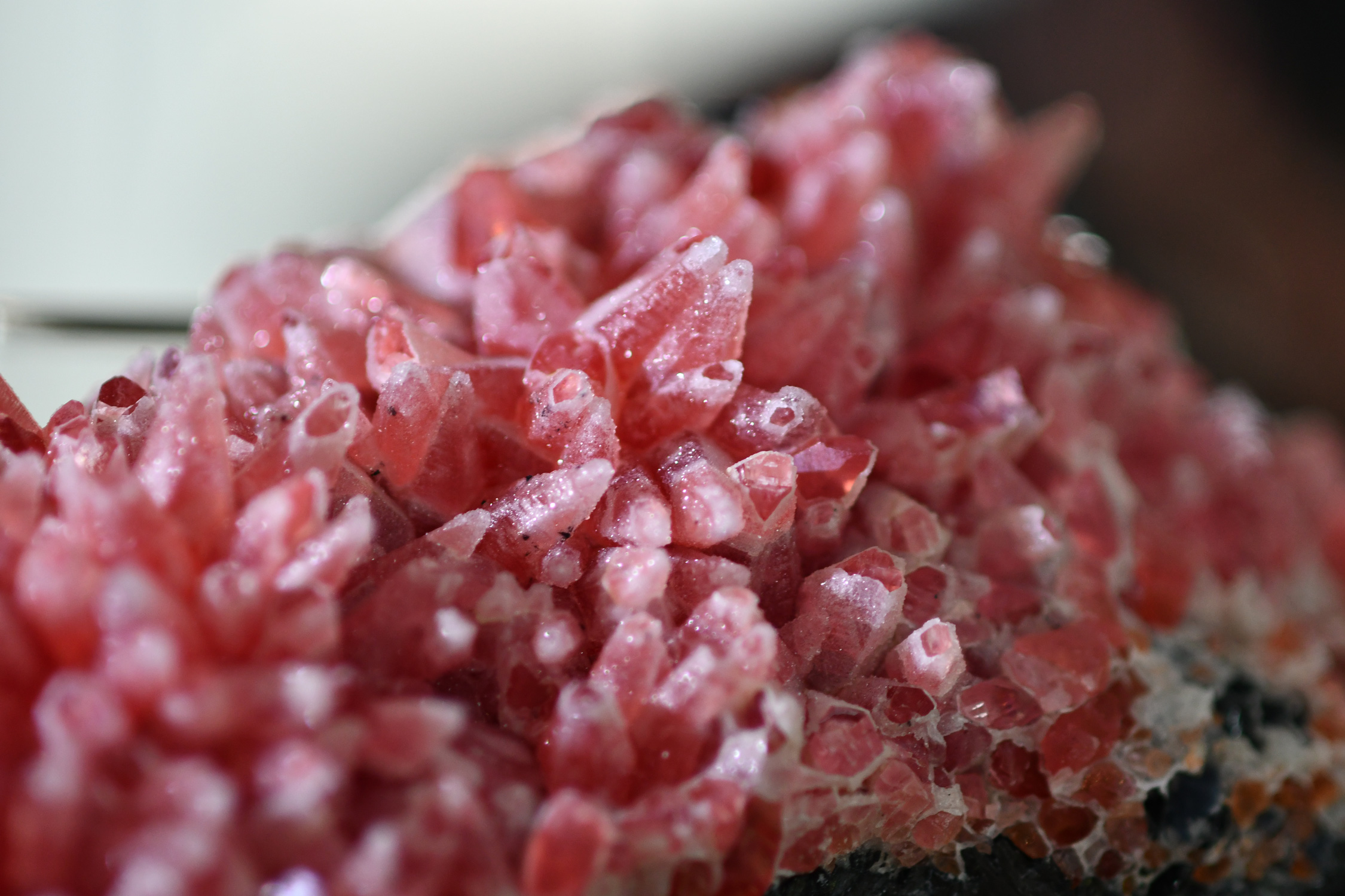 Rhodochrosite Dogtooth Cluster with Quartz Dusting