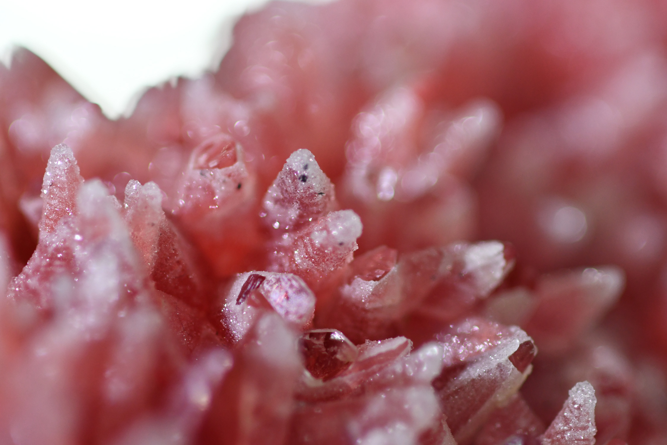 Rhodochrosite Dogtooth Cluster with Quartz Dusting