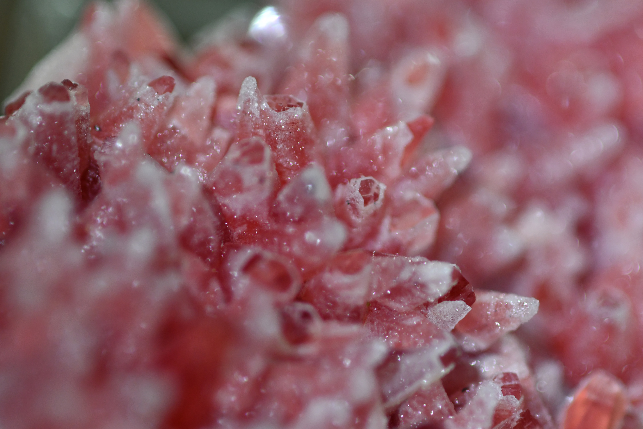 Rhodochrosite Dogtooth Cluster with Quartz Dusting