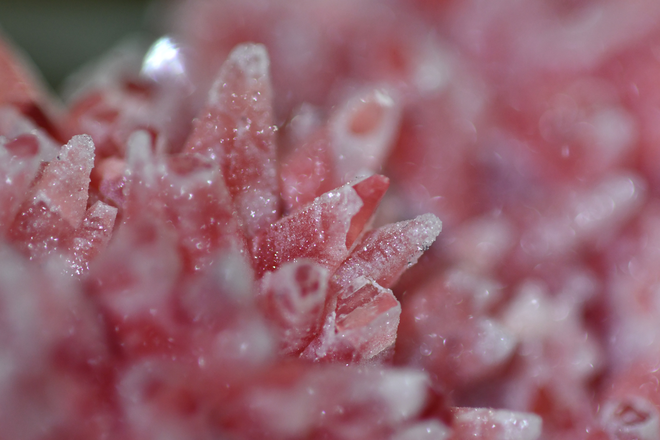 Rhodochrosite Dogtooth Cluster with Quartz Dusting