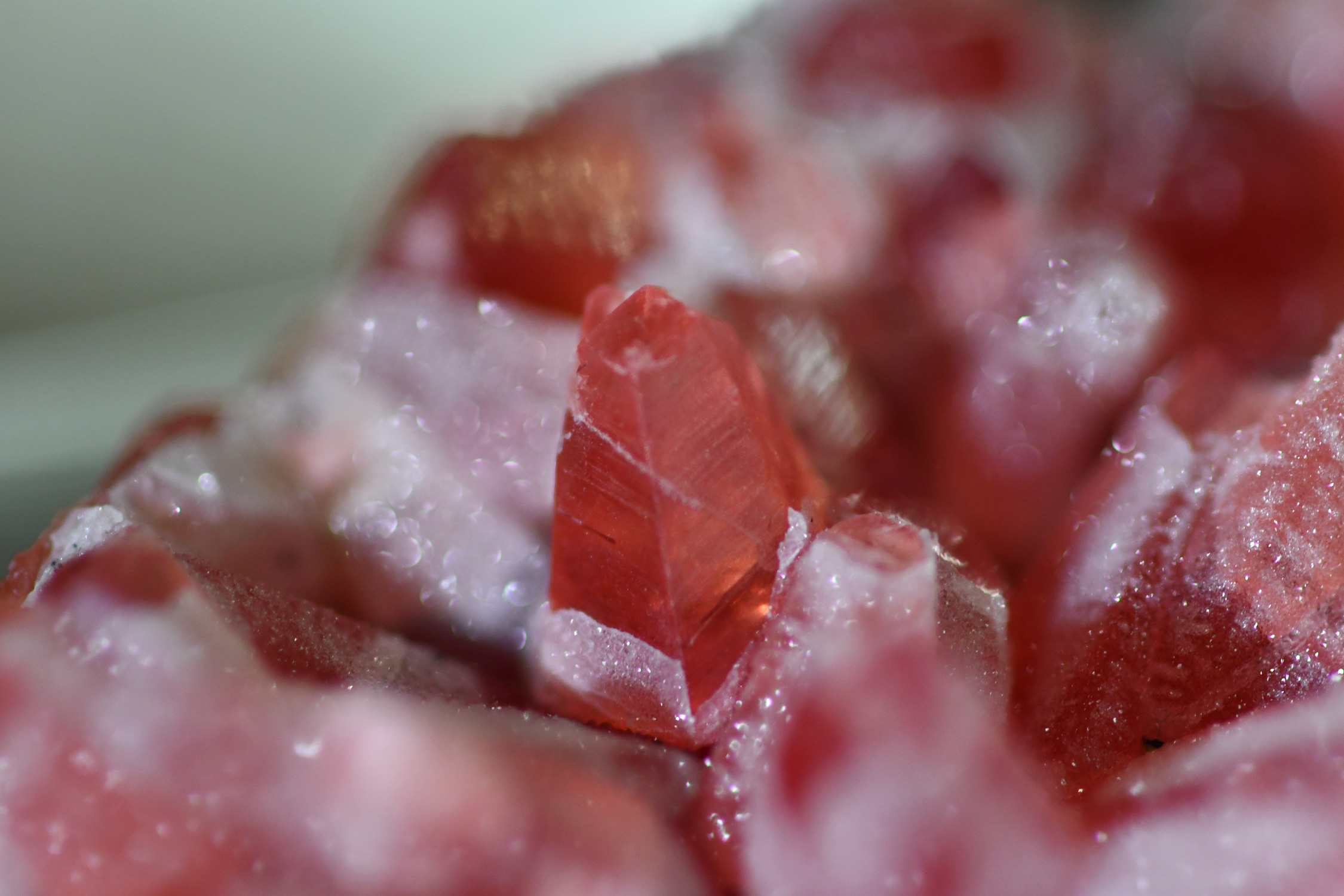 Rhodochrosite Dogtooth Cluster with Quartz Dusting